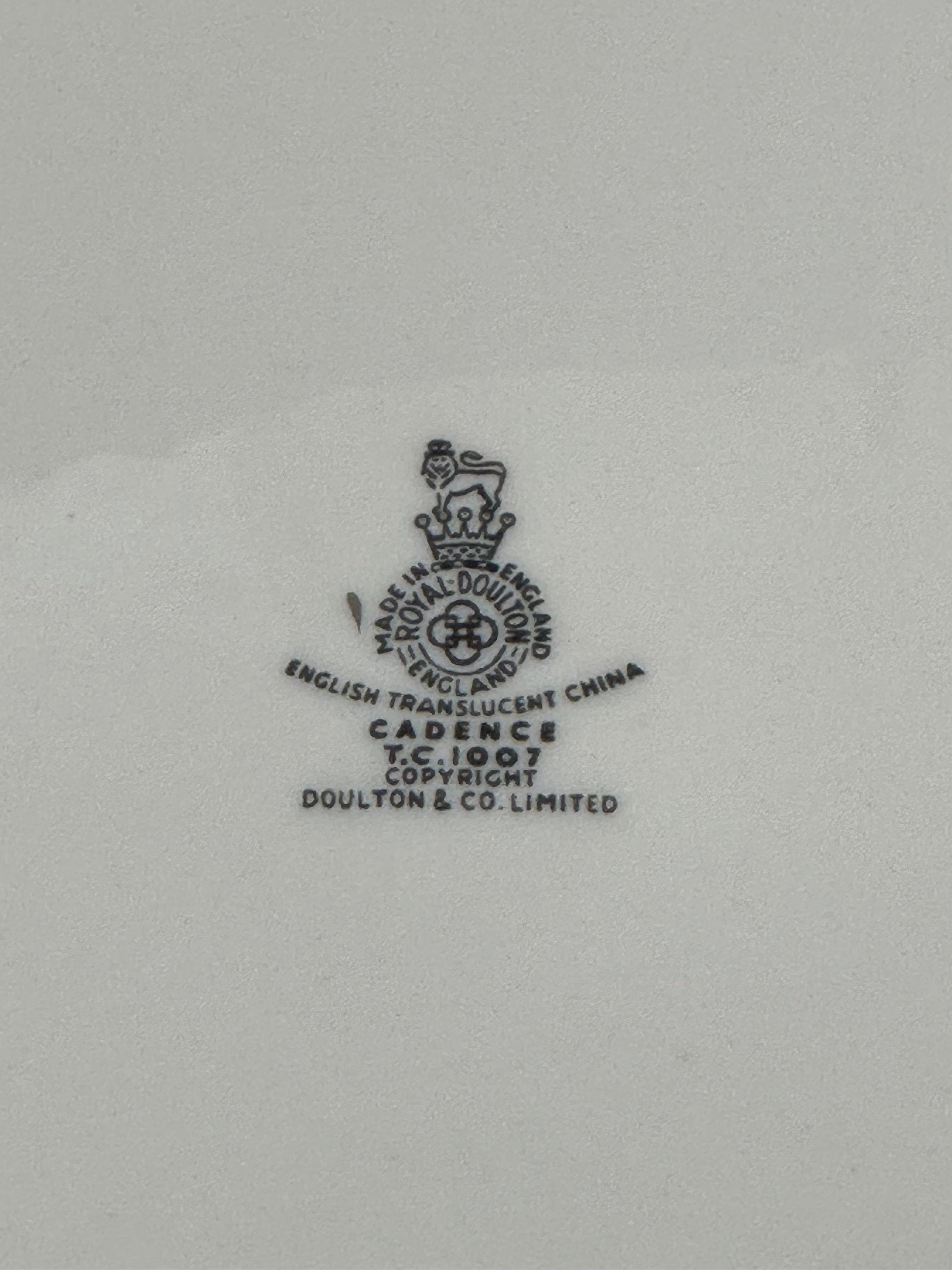 Royal Doulton Cadence 5 Piece Place Setting