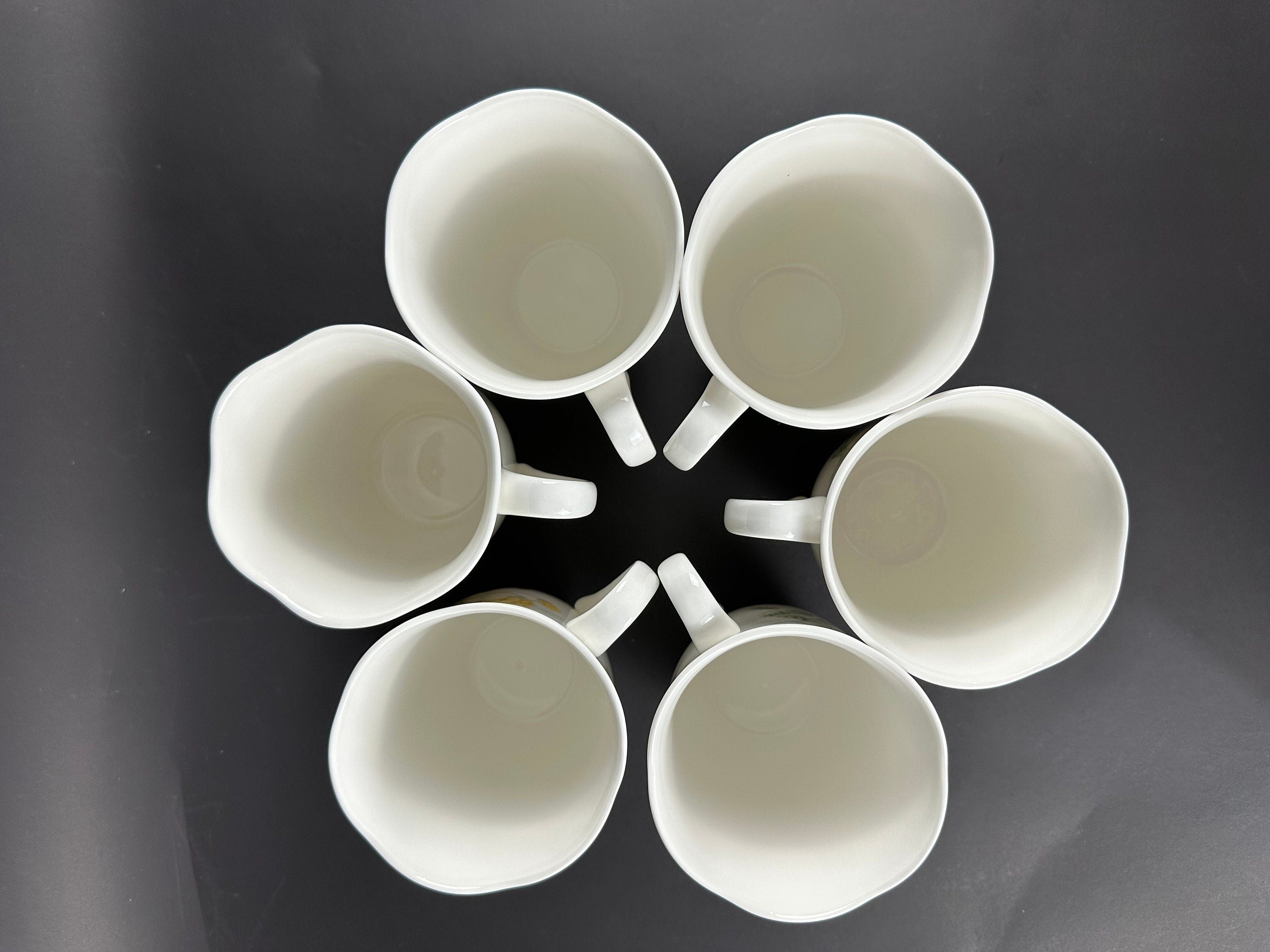 6 Lenox Butterfly Meadow Tall Mugs