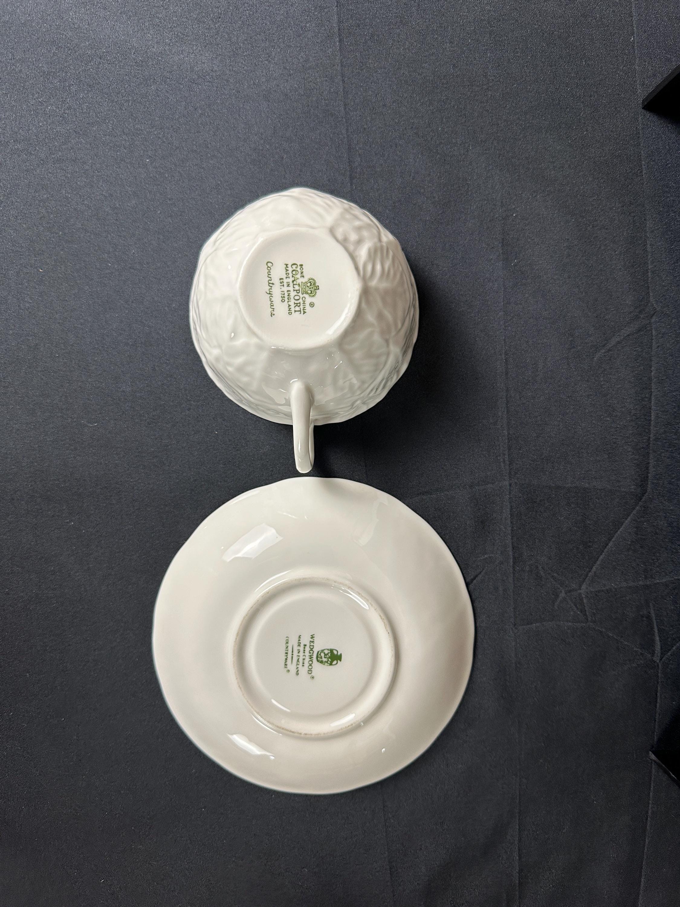 Coalport Wedgwood Countryware Teacup and Saucer