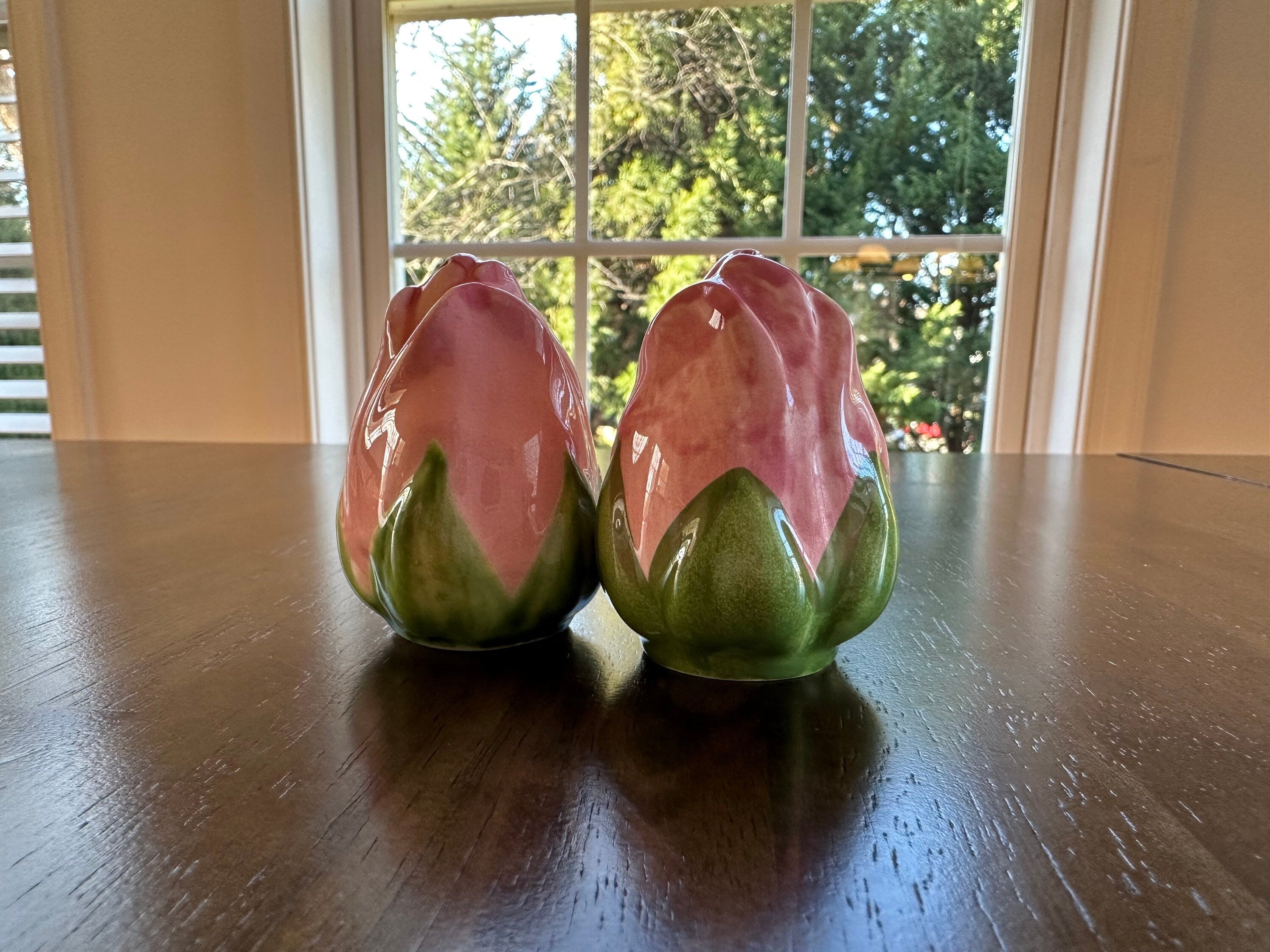 Franciscan Desert Rose Salt and Pepper Shakers