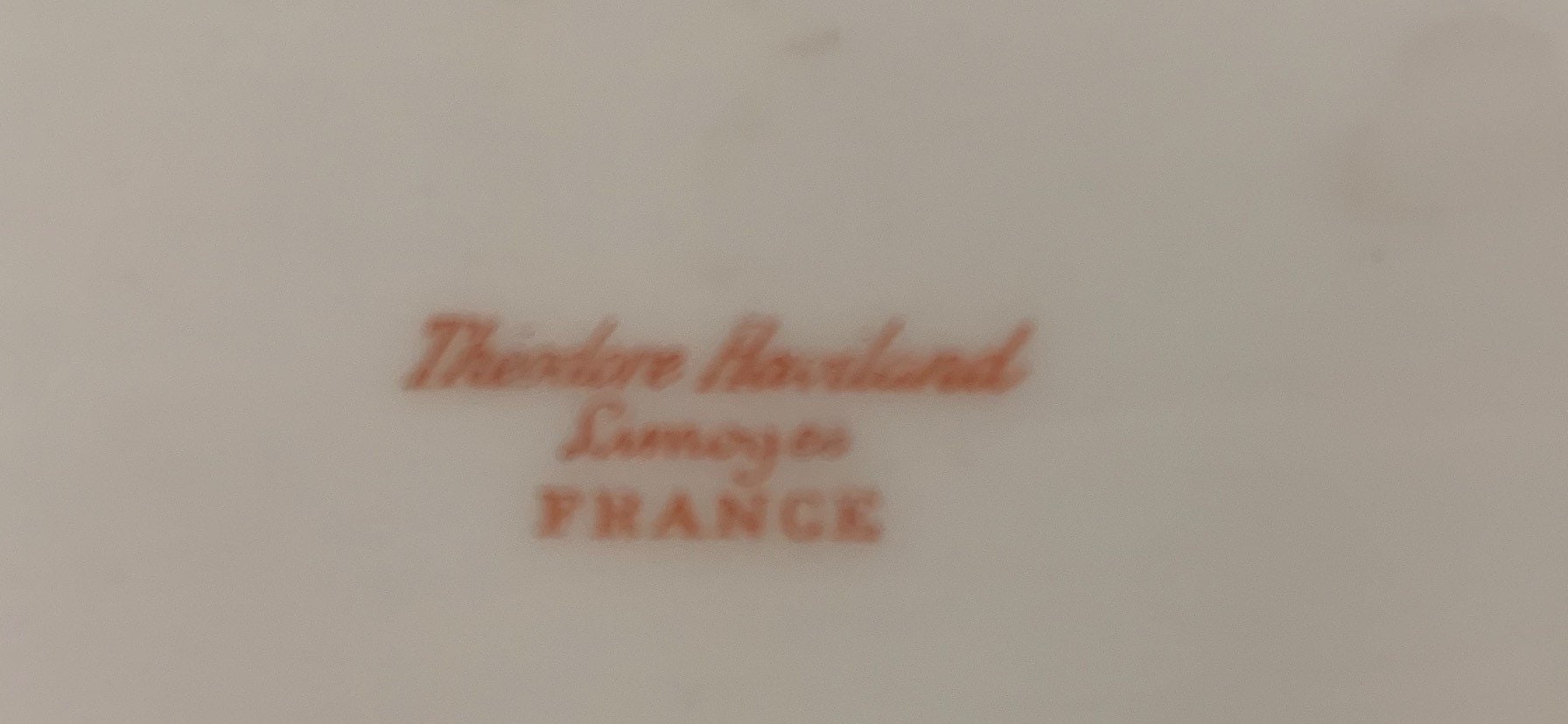 Antique Theodore Haviland Limoges Platter