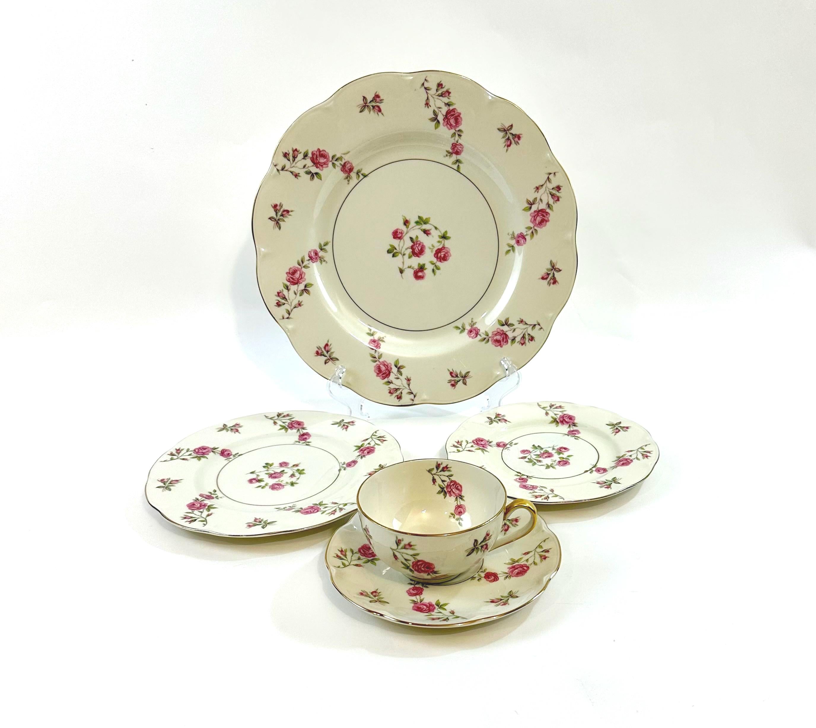 Haviland Delaware 5 Piece Place Settings