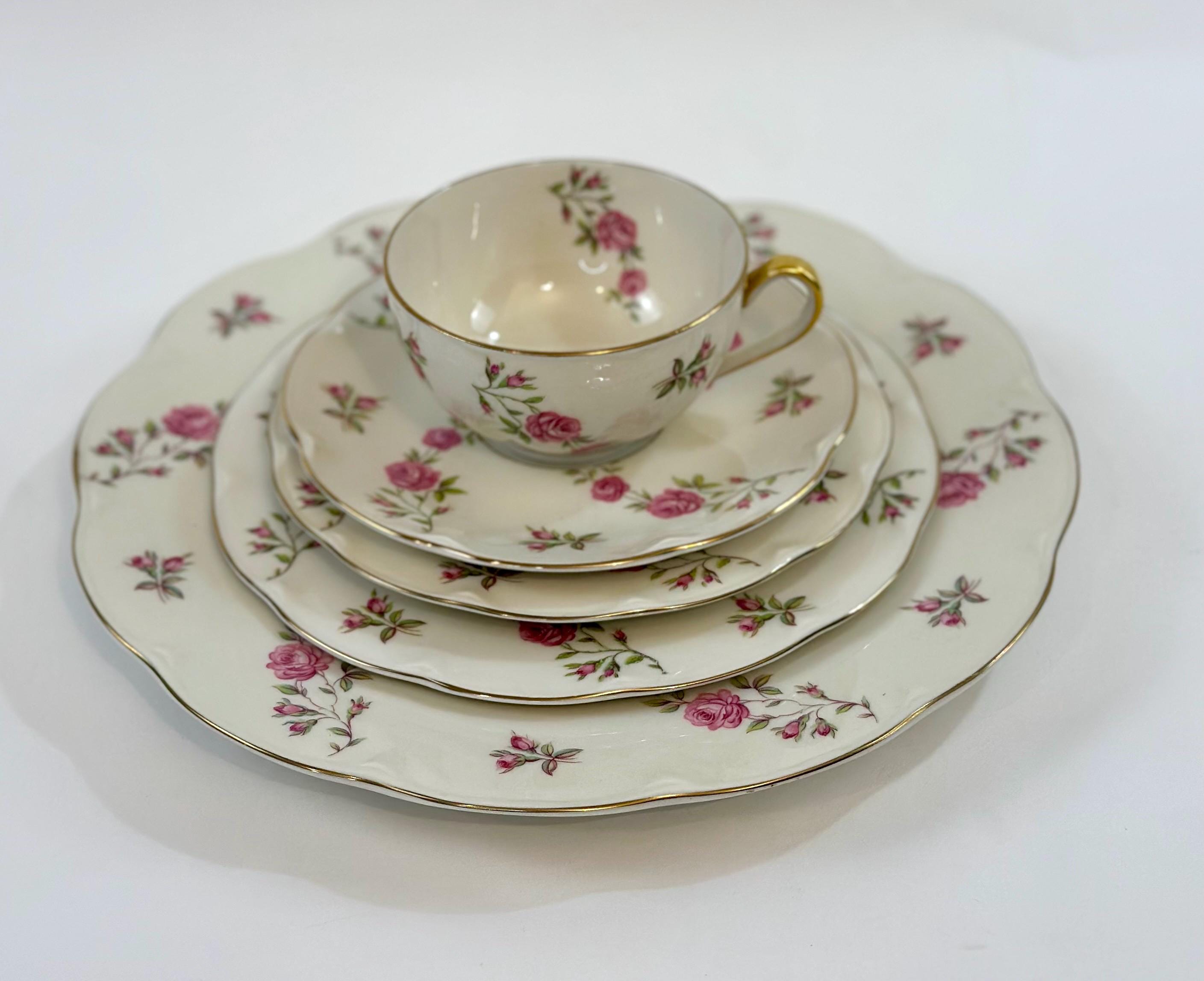 Haviland Delaware 5 Piece Place Settings