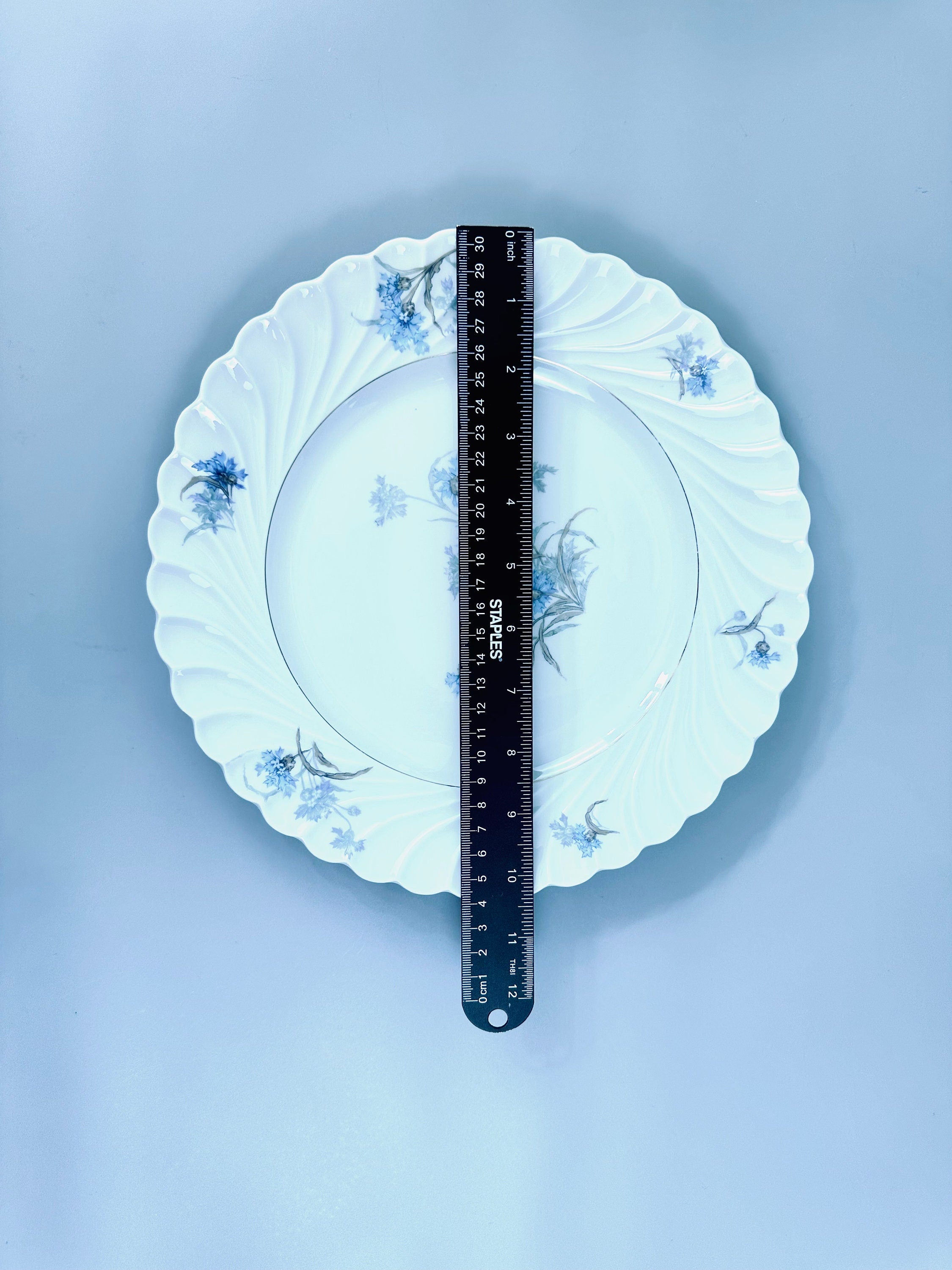 2 Haviland Bergere Dinner Plates