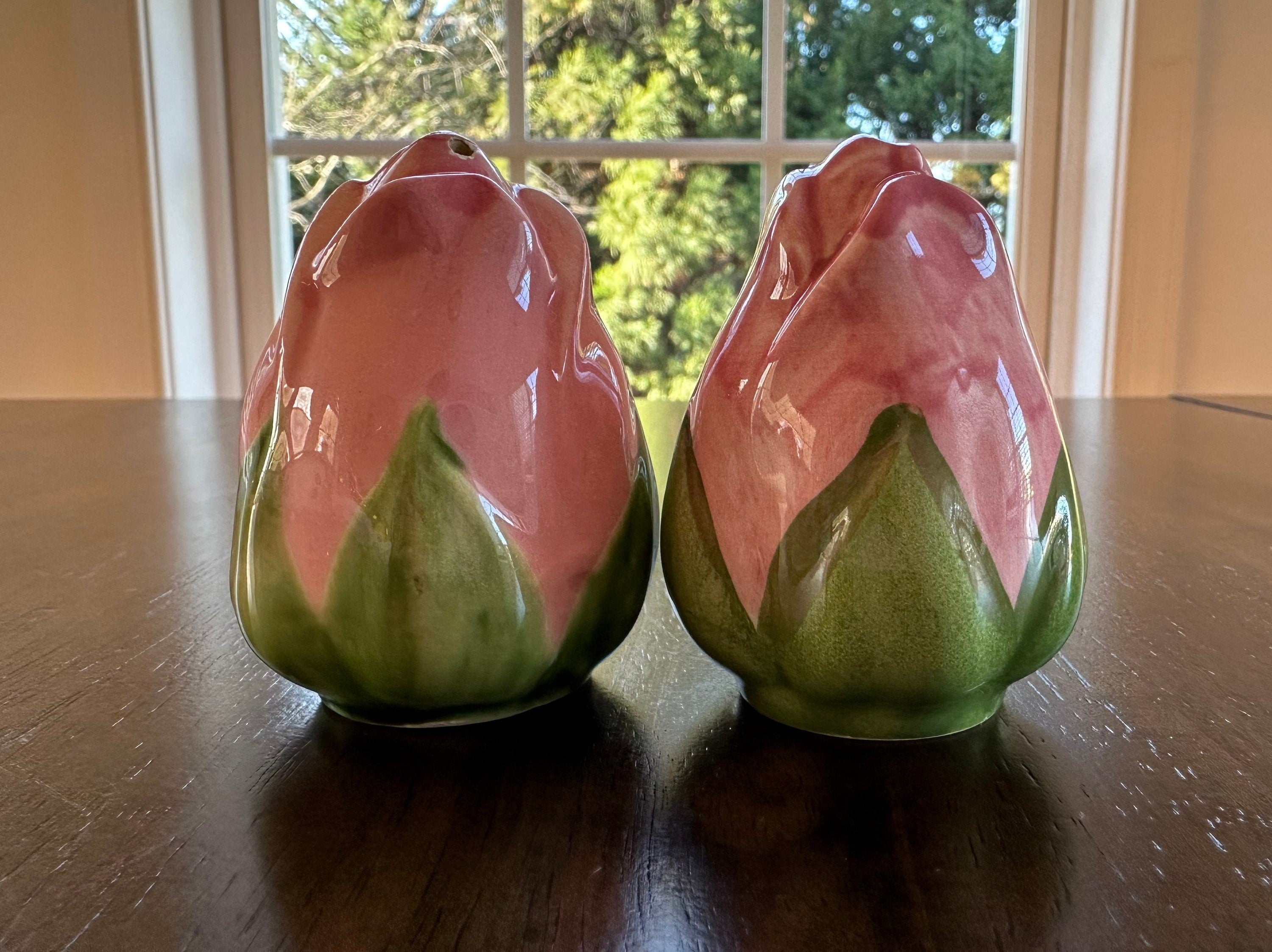 Franciscan Desert Rose Salt and Pepper Shakers