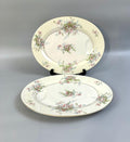 2 Haviland Apple Blossom Serving Platters
