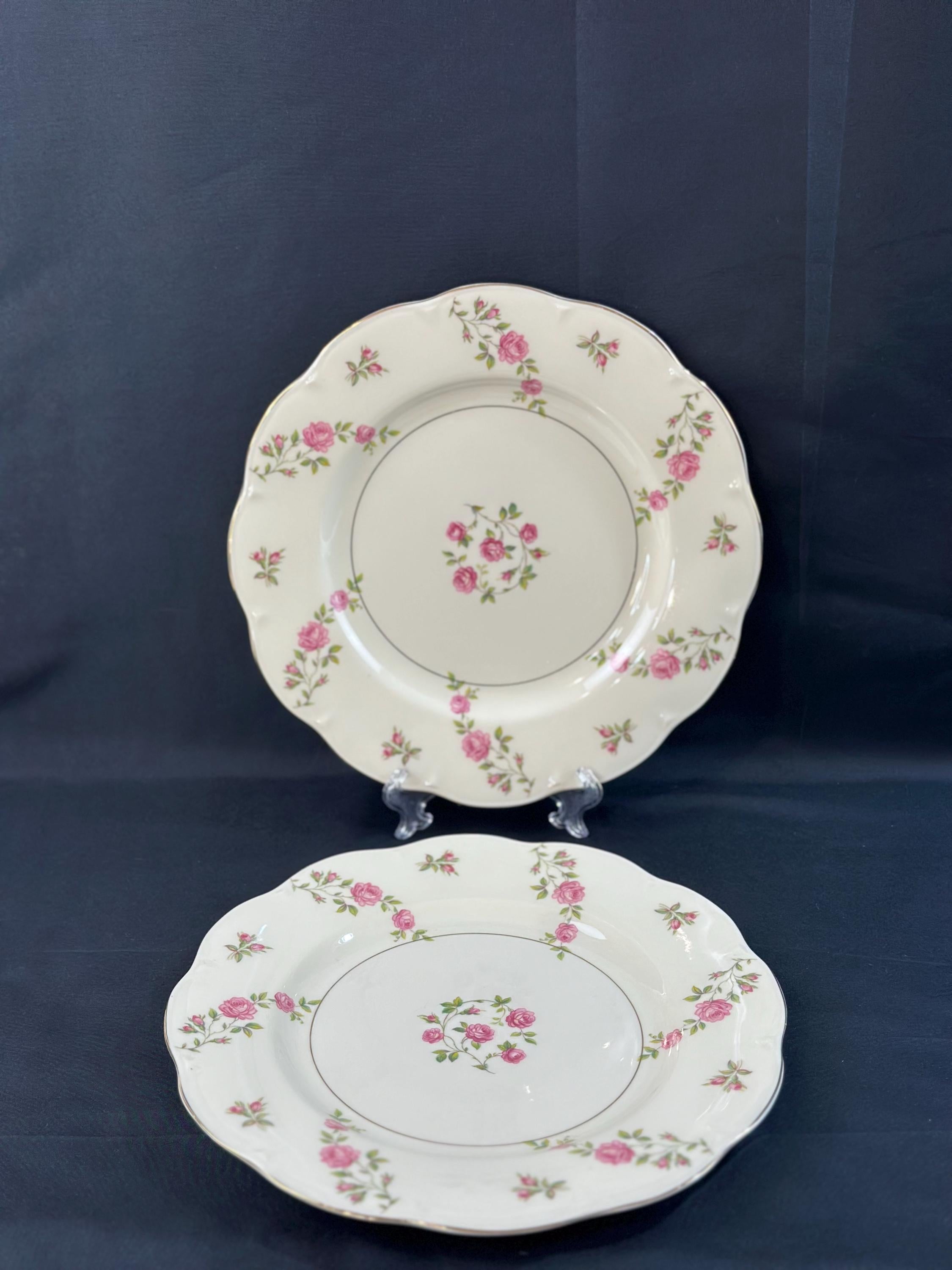 2 Haviland Delaware Dinner Plates