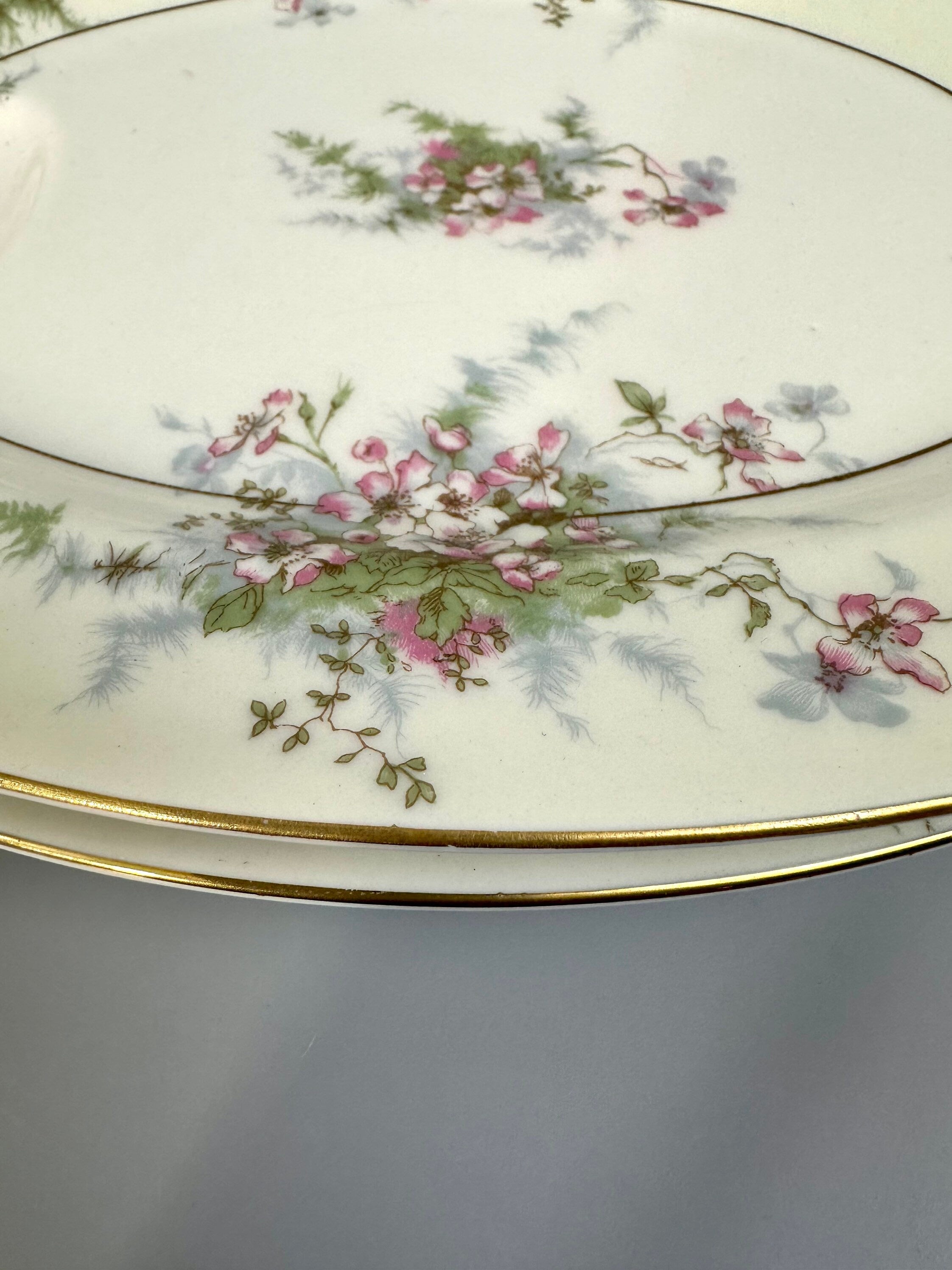 2 Haviland Apple Blossom Serving Platters