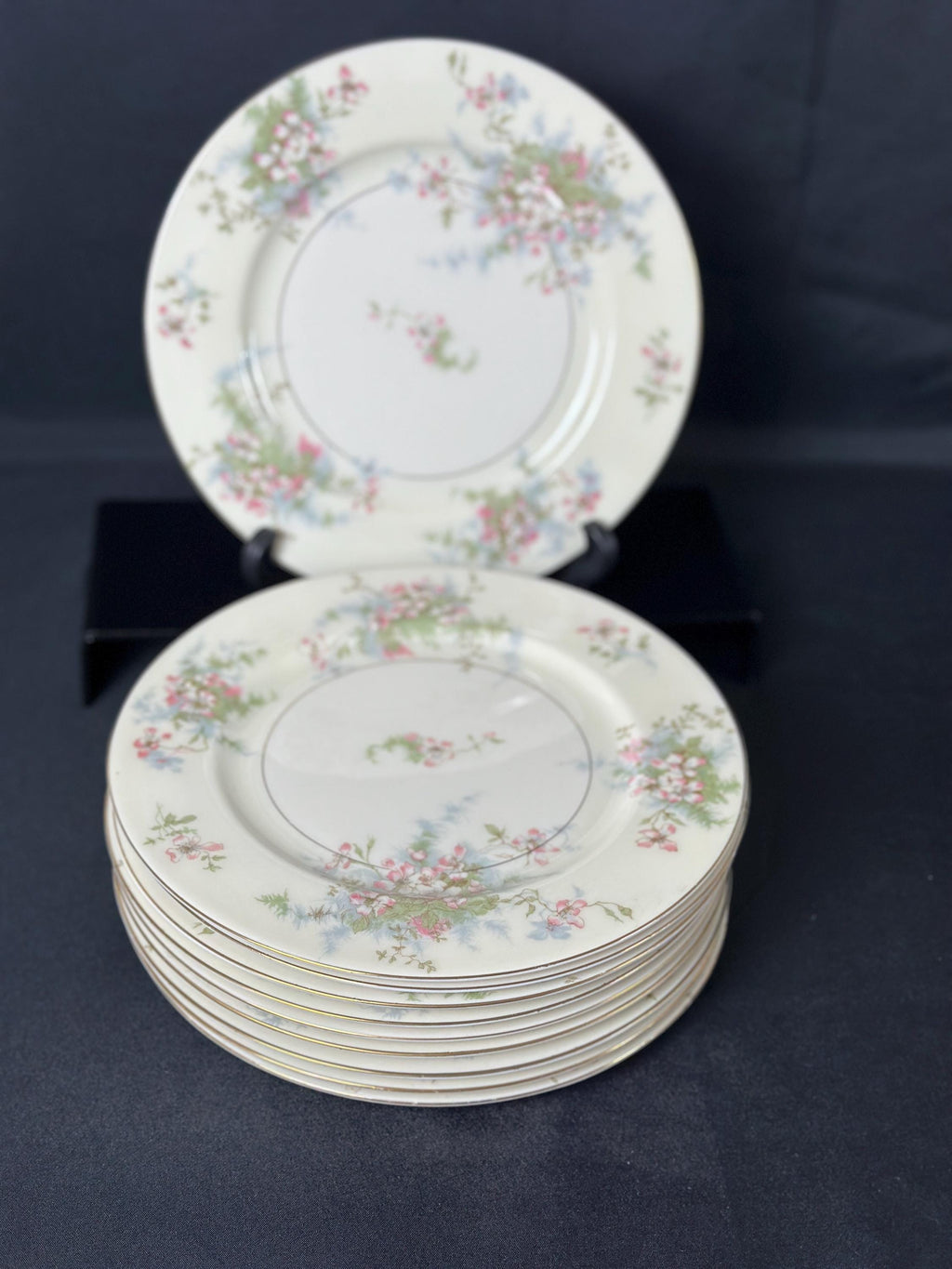 10 Haviland Apple Blossom Luncheon Plates