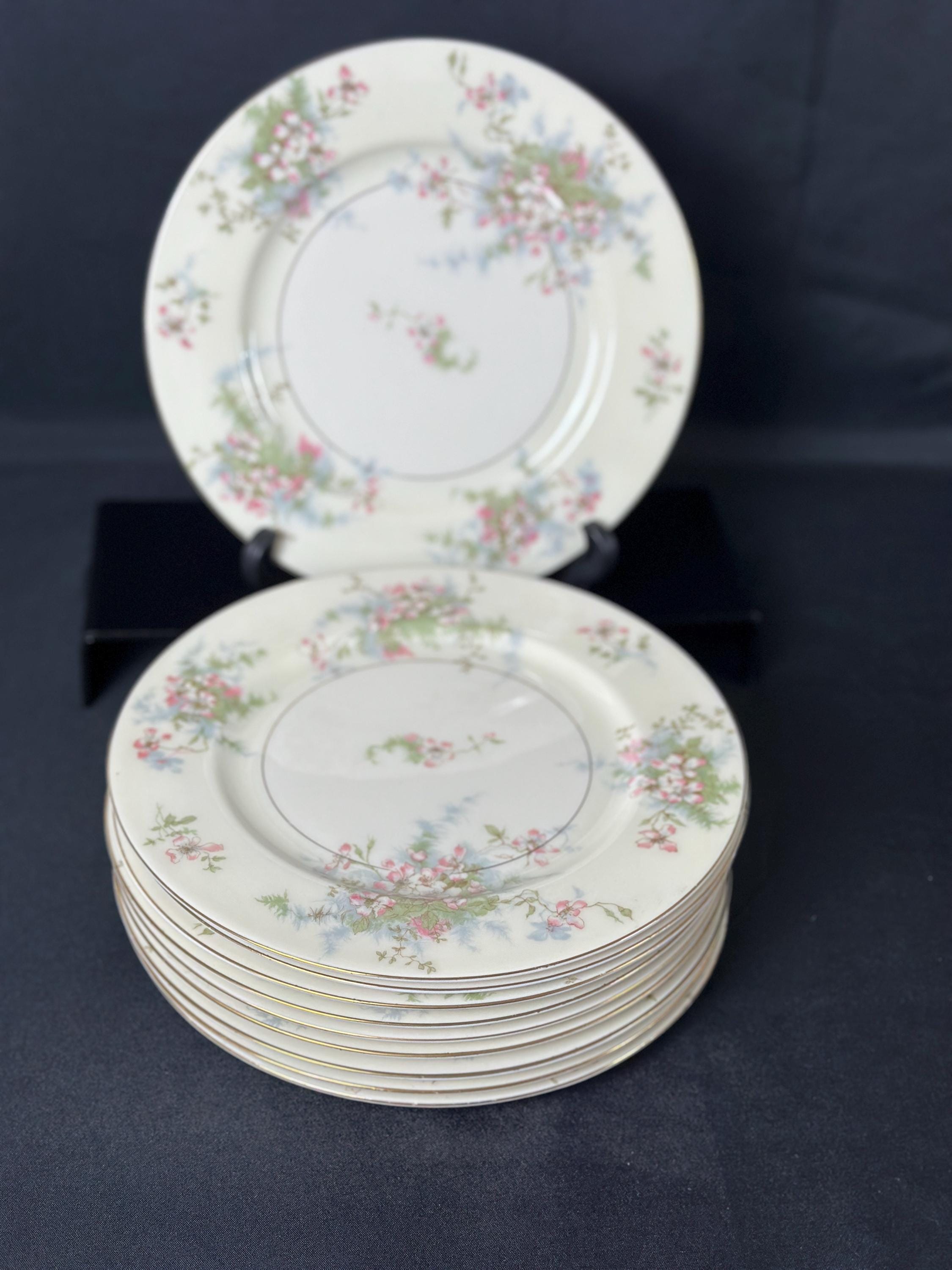 10 Haviland Apple Blossom Luncheon Plates