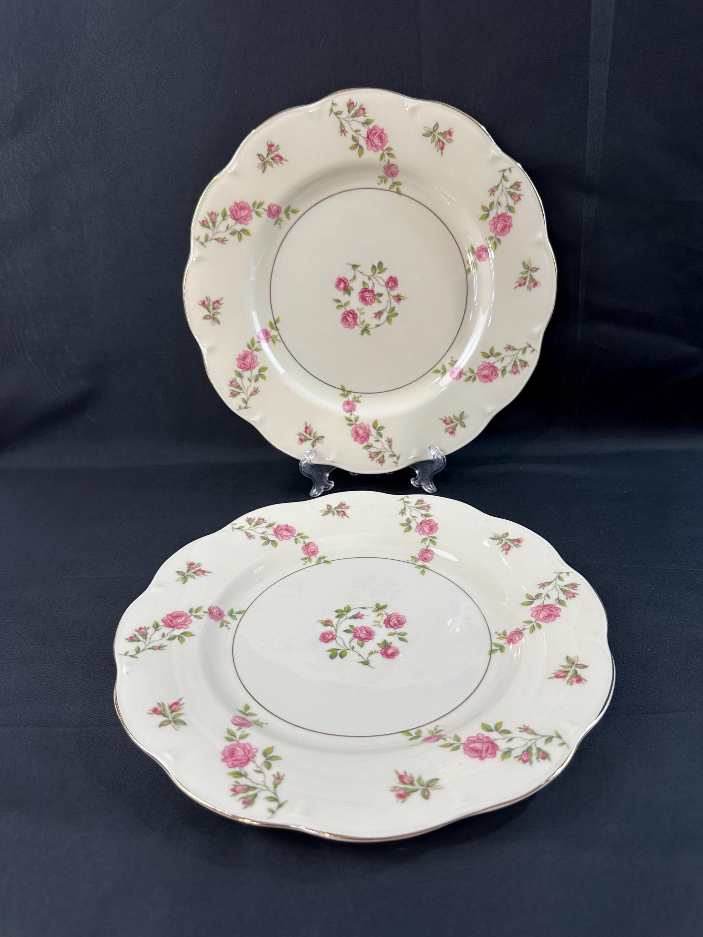 2 Haviland Delaware Dinner Plates
