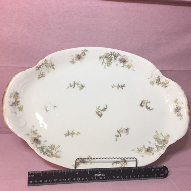 1895 Theodore Haviland Limoges