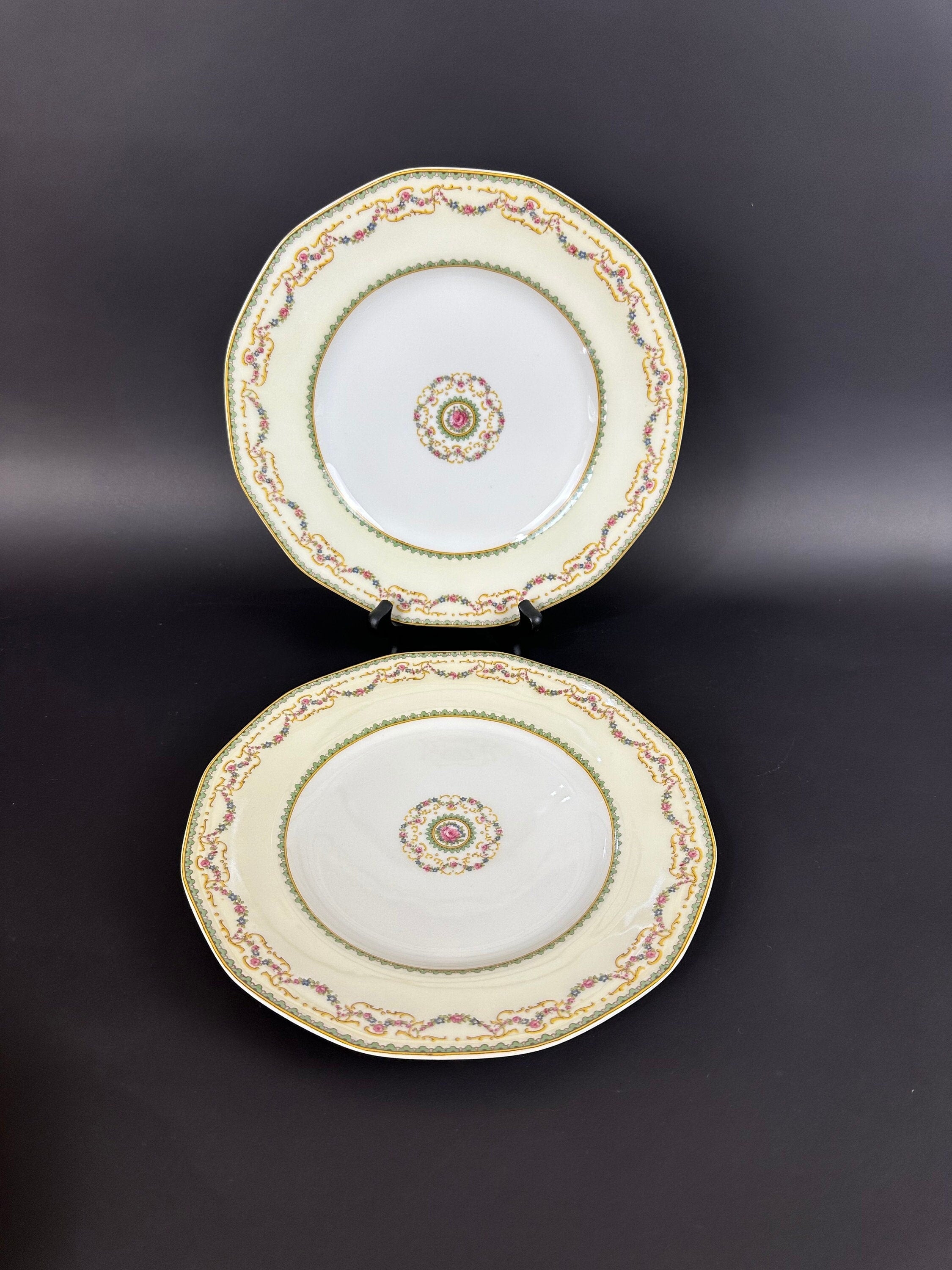 Two Rare Antique Haviland Dinner Plates in the Venice pattern