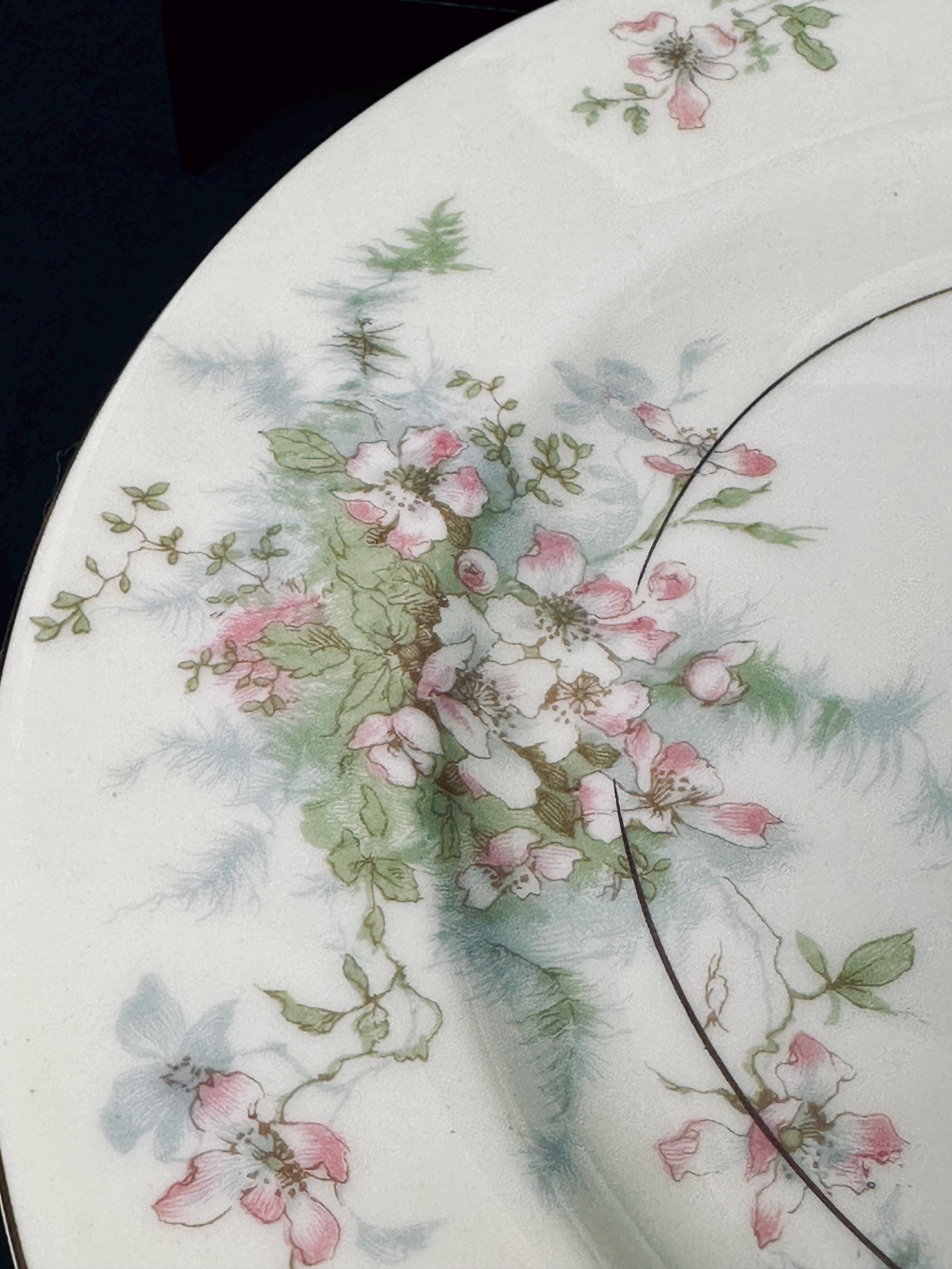 10 Haviland Apple Blossom Luncheon Plates