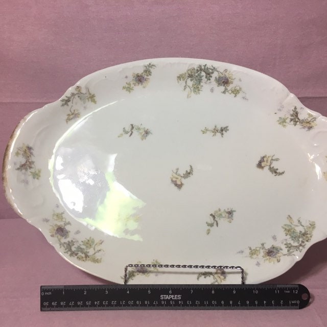 1895 Theodore Haviland Limoges