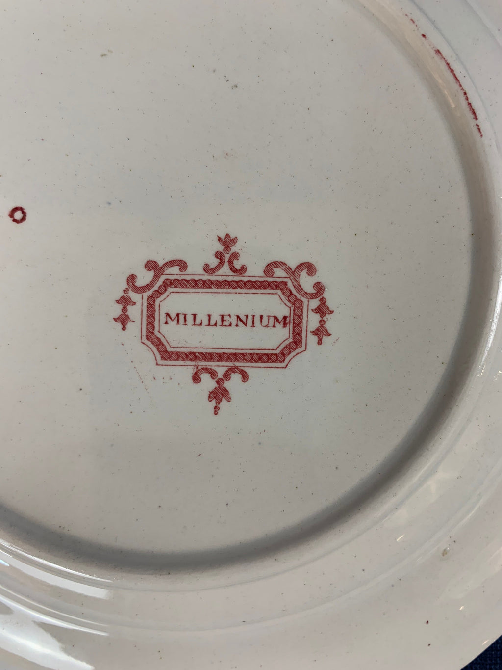 1830s Ralph Stevenson Pottery Millenium Plate