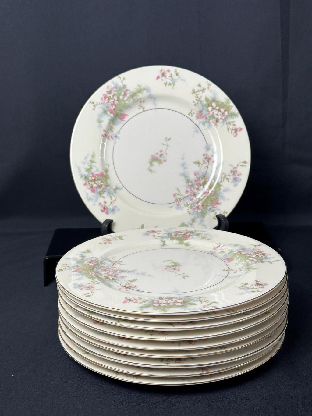 10 Haviland Apple Blossom Luncheon Plates