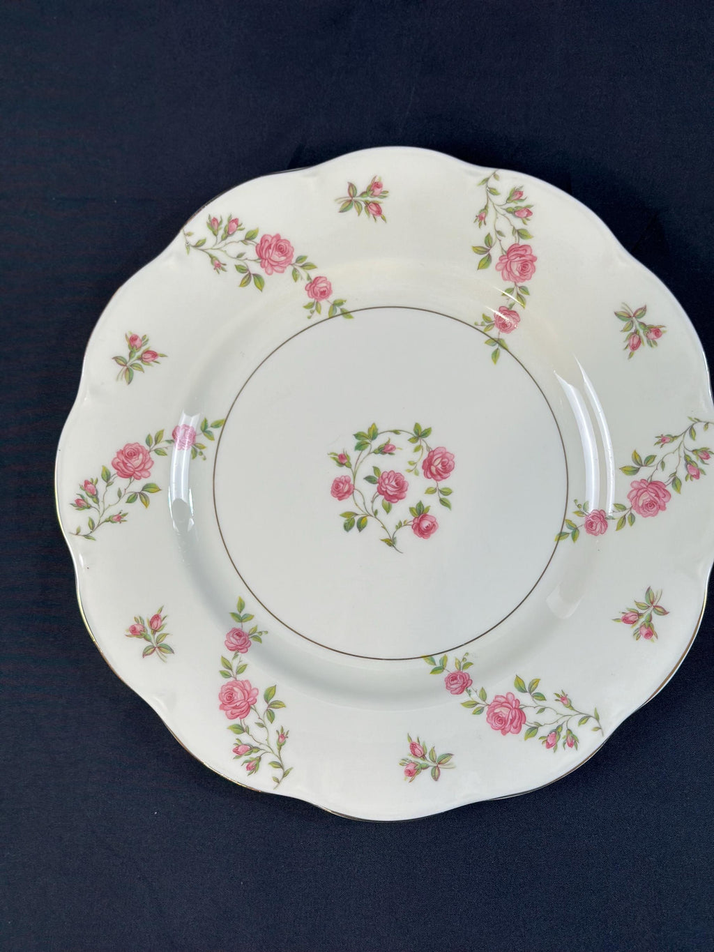 2 Haviland Delaware Dinner Plates