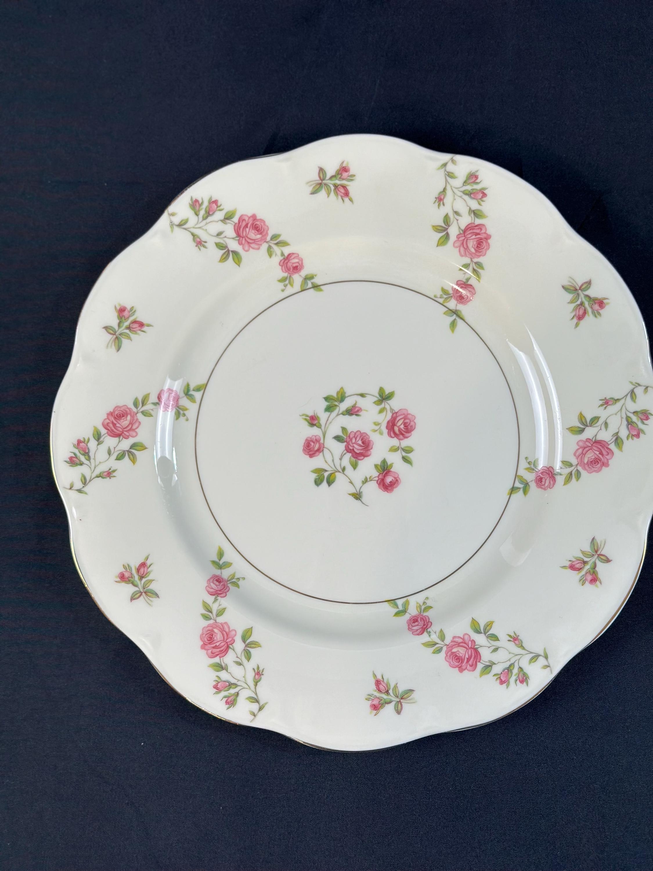 2 Haviland Delaware Dinner Plates