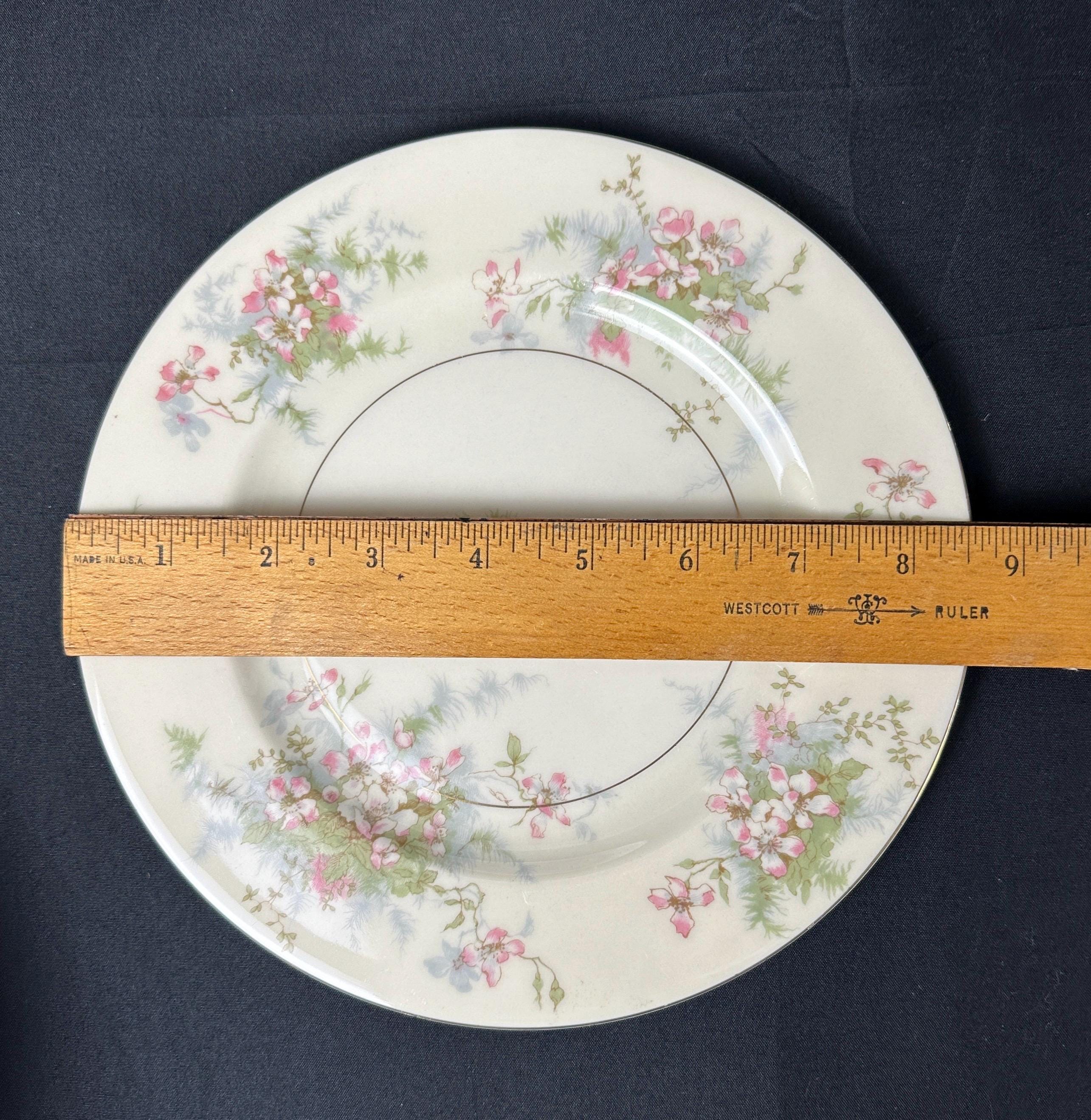 10 Theodore Haviland Apple Blossom Luncheon Plates