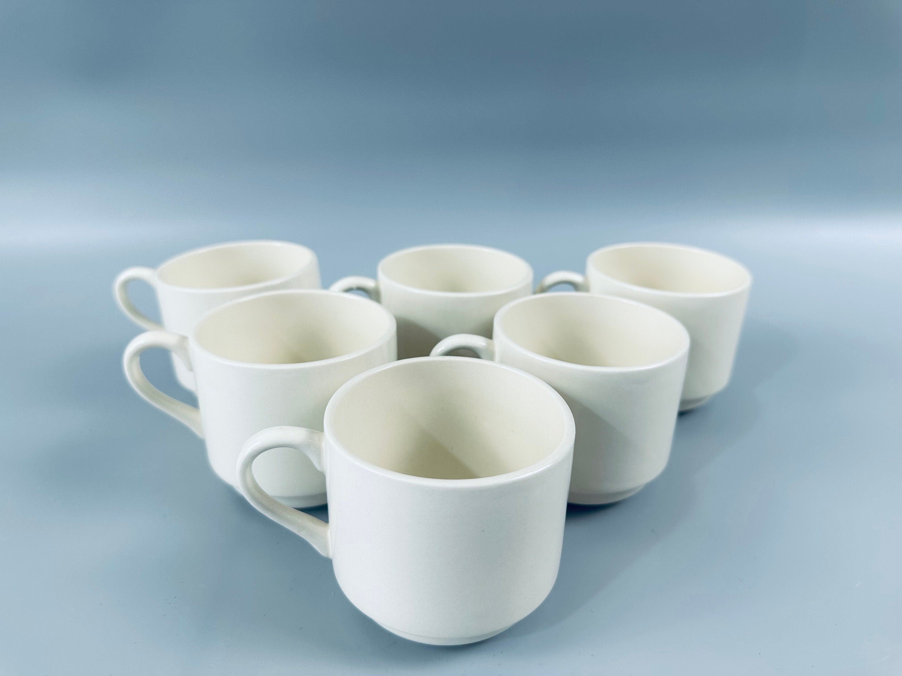 6 Stackable Blue Onion Mugs by Scio