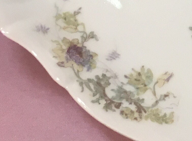 1895 Theodore Haviland Limoges