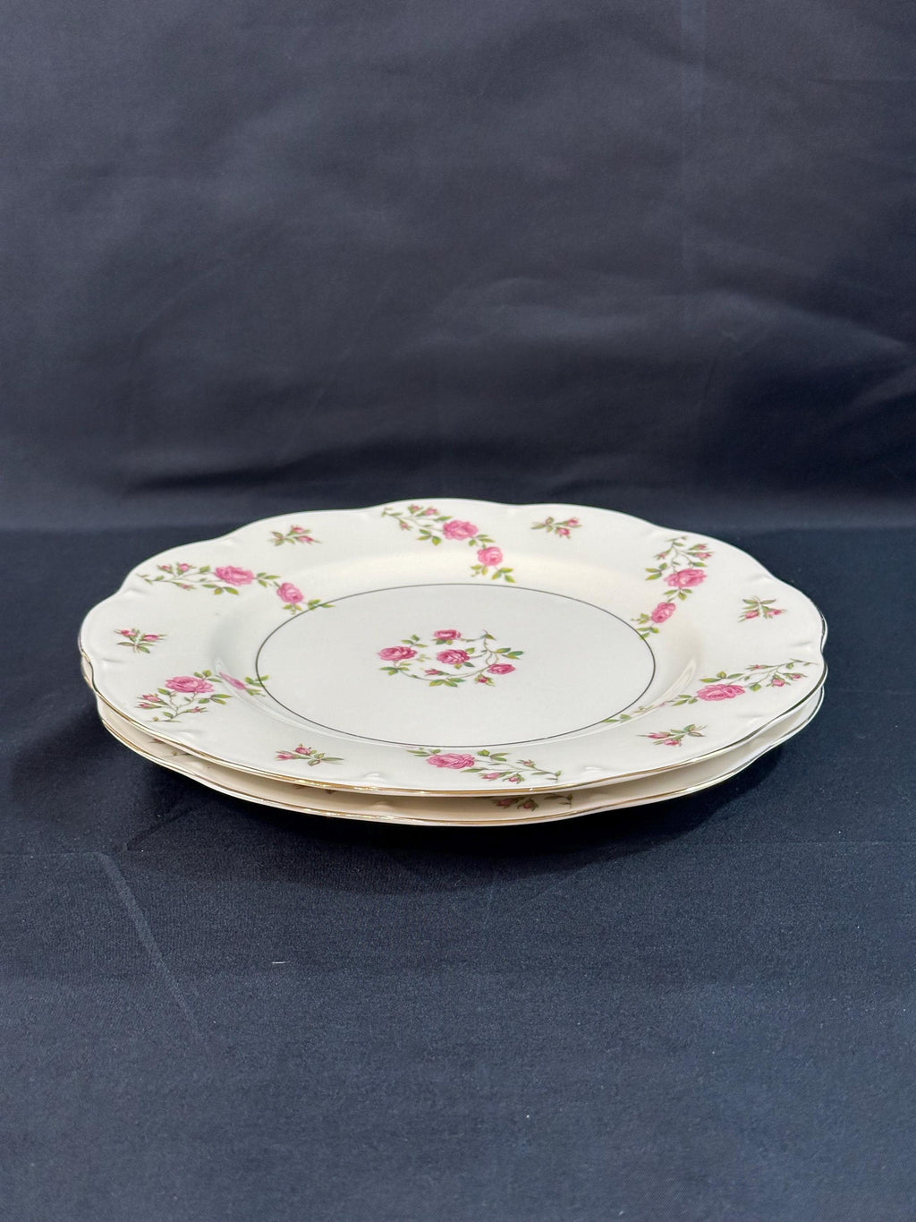 2 Haviland Delaware Dinner Plates