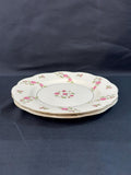 2 Haviland Delaware Dinner Plates