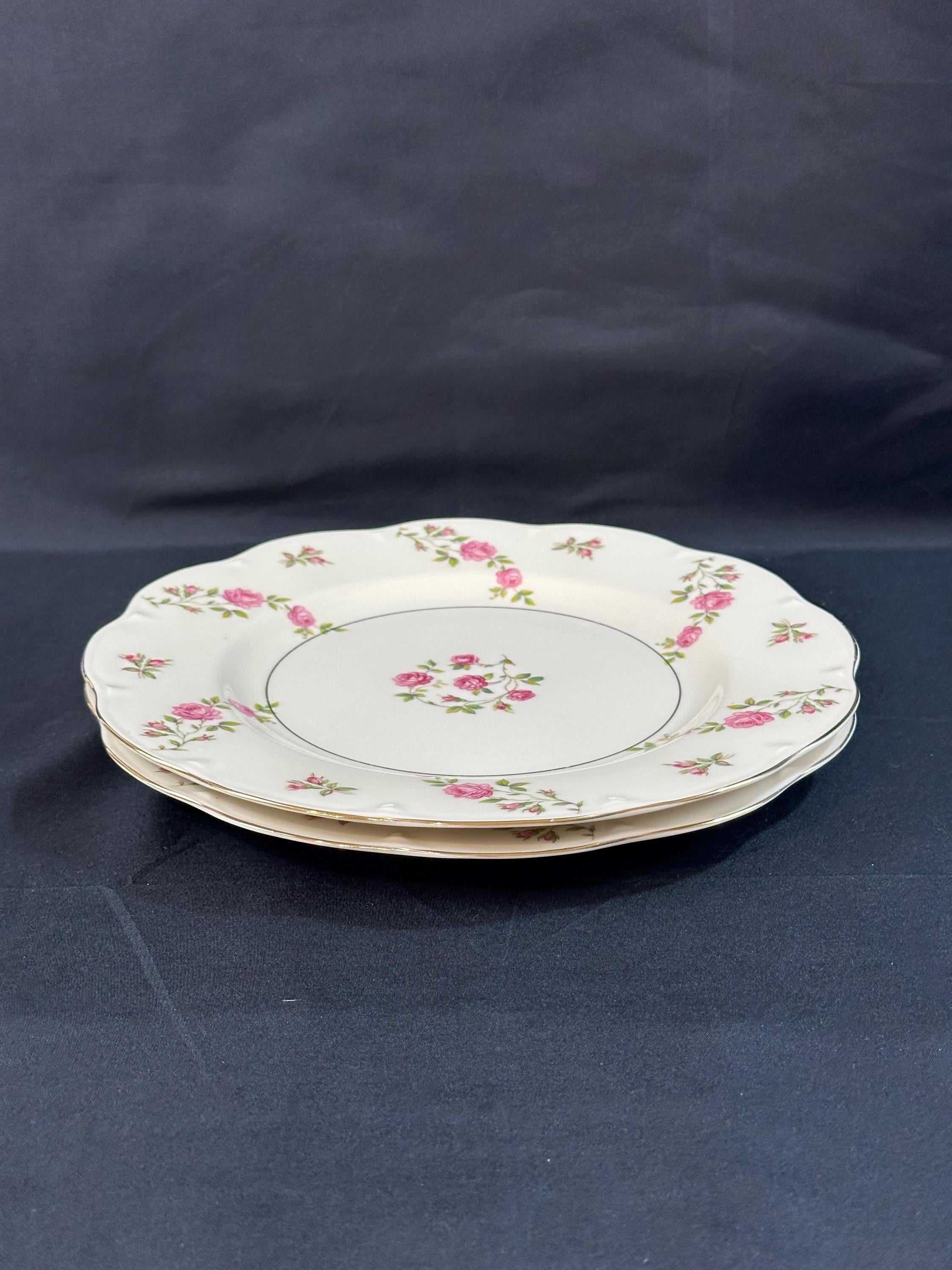 2 Haviland Delaware Dinner Plates