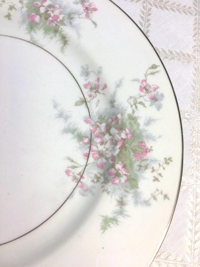 10 Theodore Haviland Apple Blossom Luncheon Plates