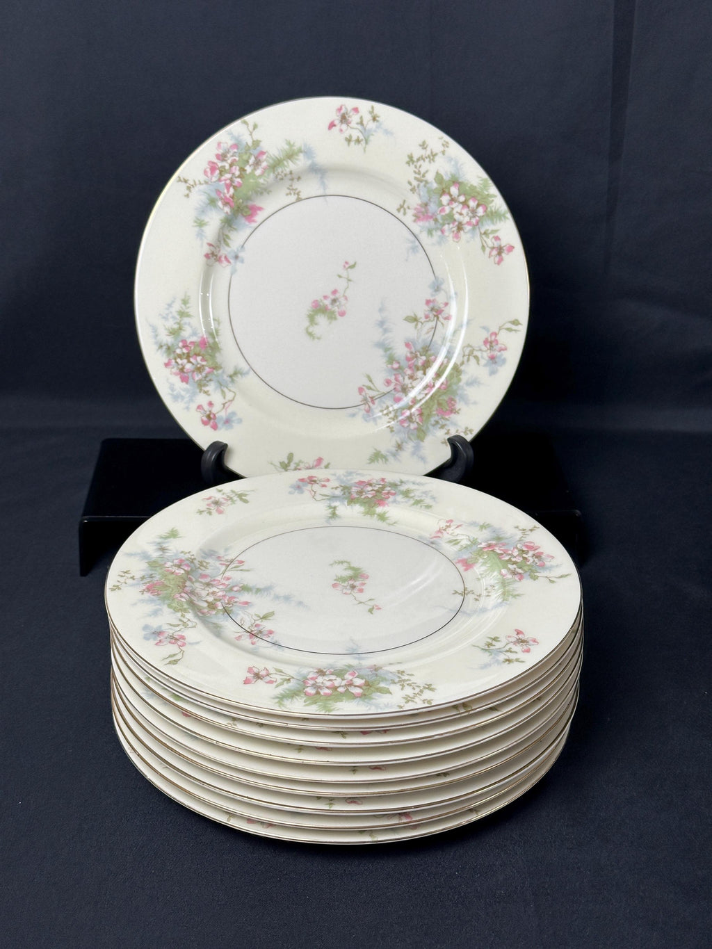 10 Haviland Apple Blossom Luncheon Plates