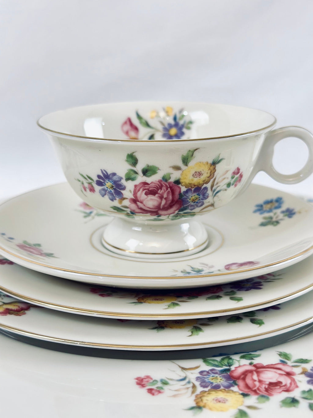 Theodore Haviland Pasadena Place Settings