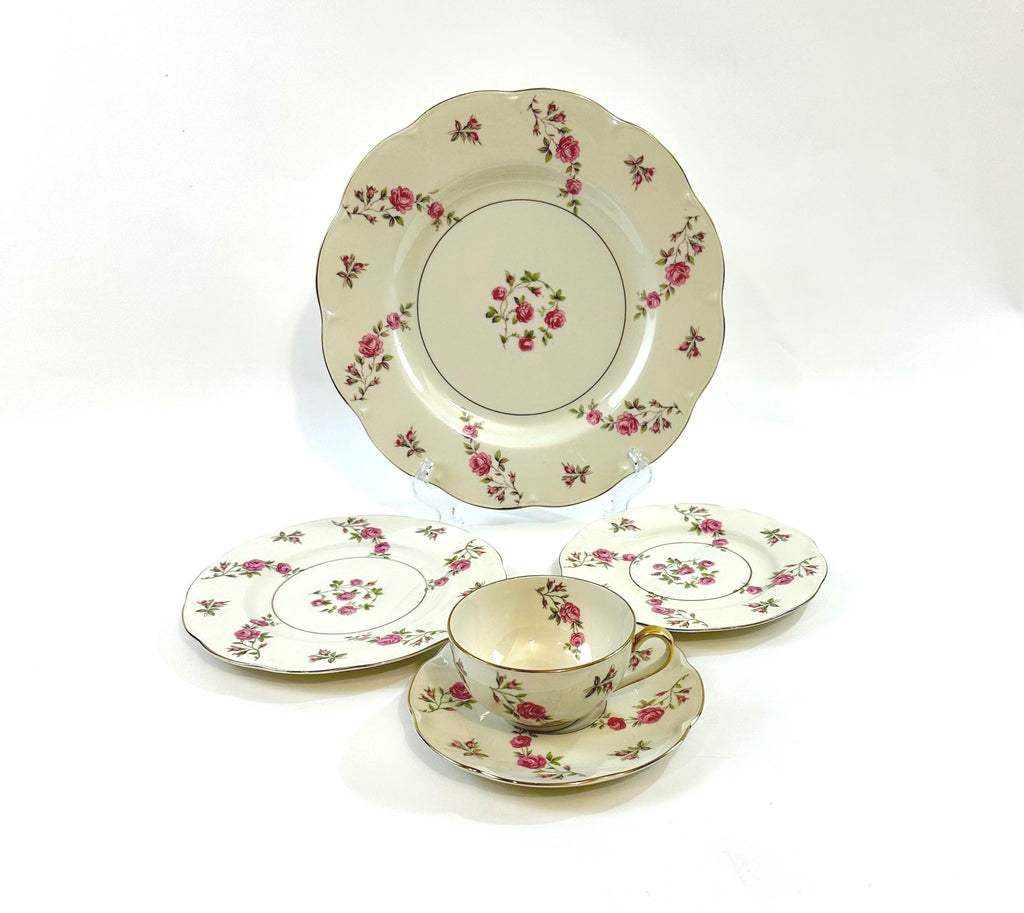 Haviland Delaware 5 Piece Place Settings