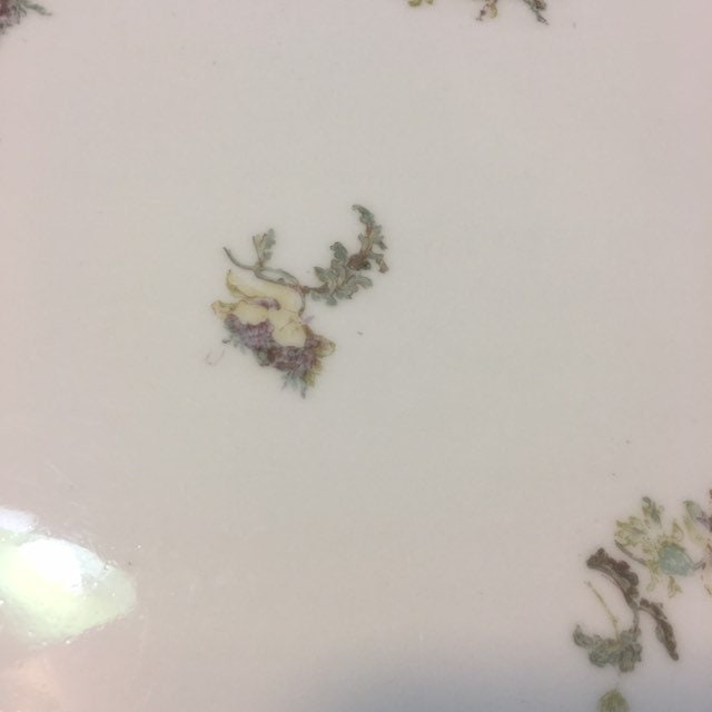 1895 Theodore Haviland Limoges
