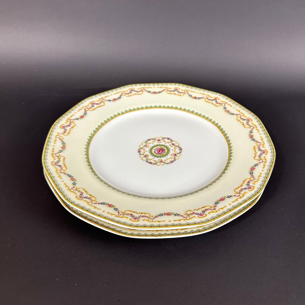 Two Rare Antique Haviland Dinner Plates in the Venice pattern