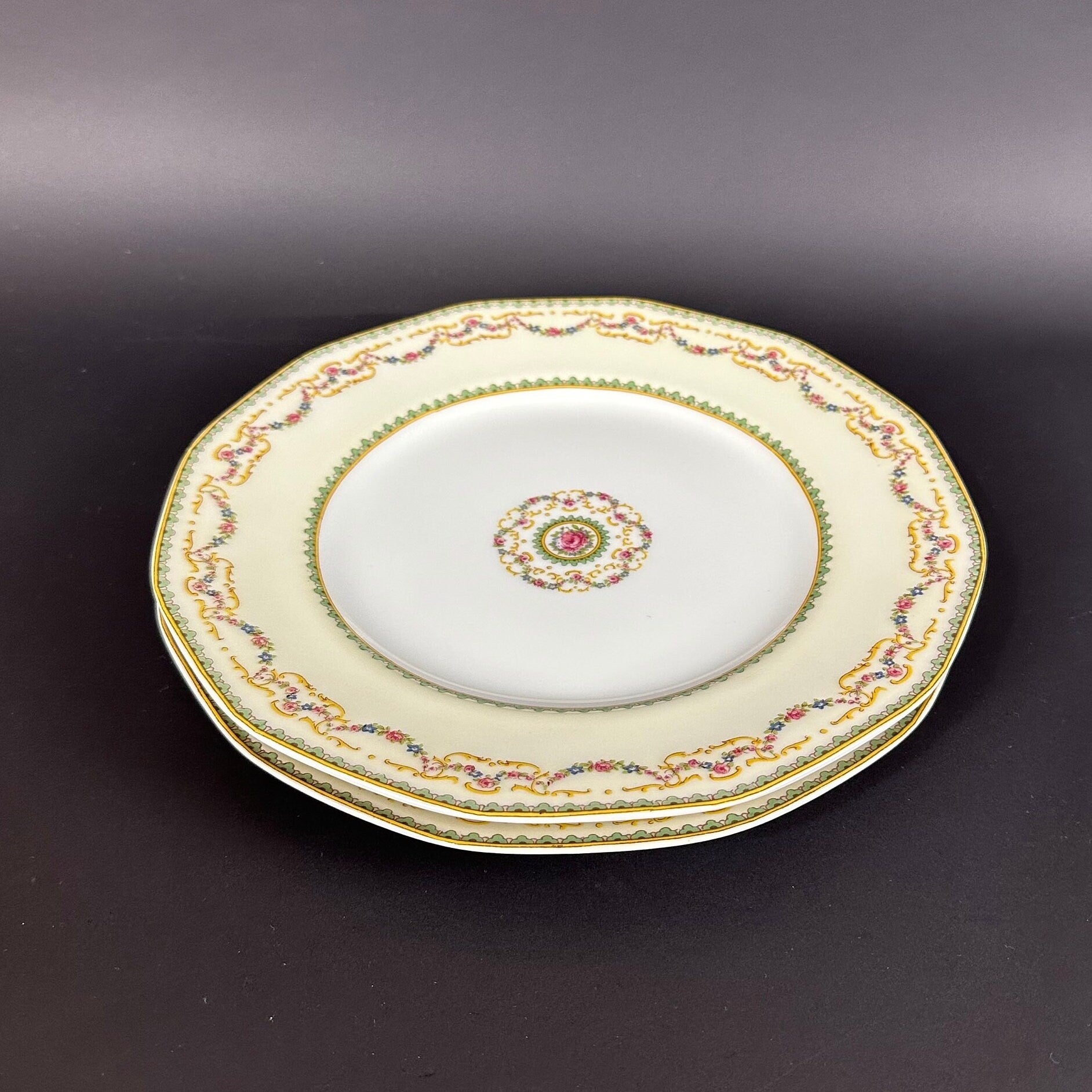 Two Rare Antique Haviland Dinner Plates in the Venice pattern