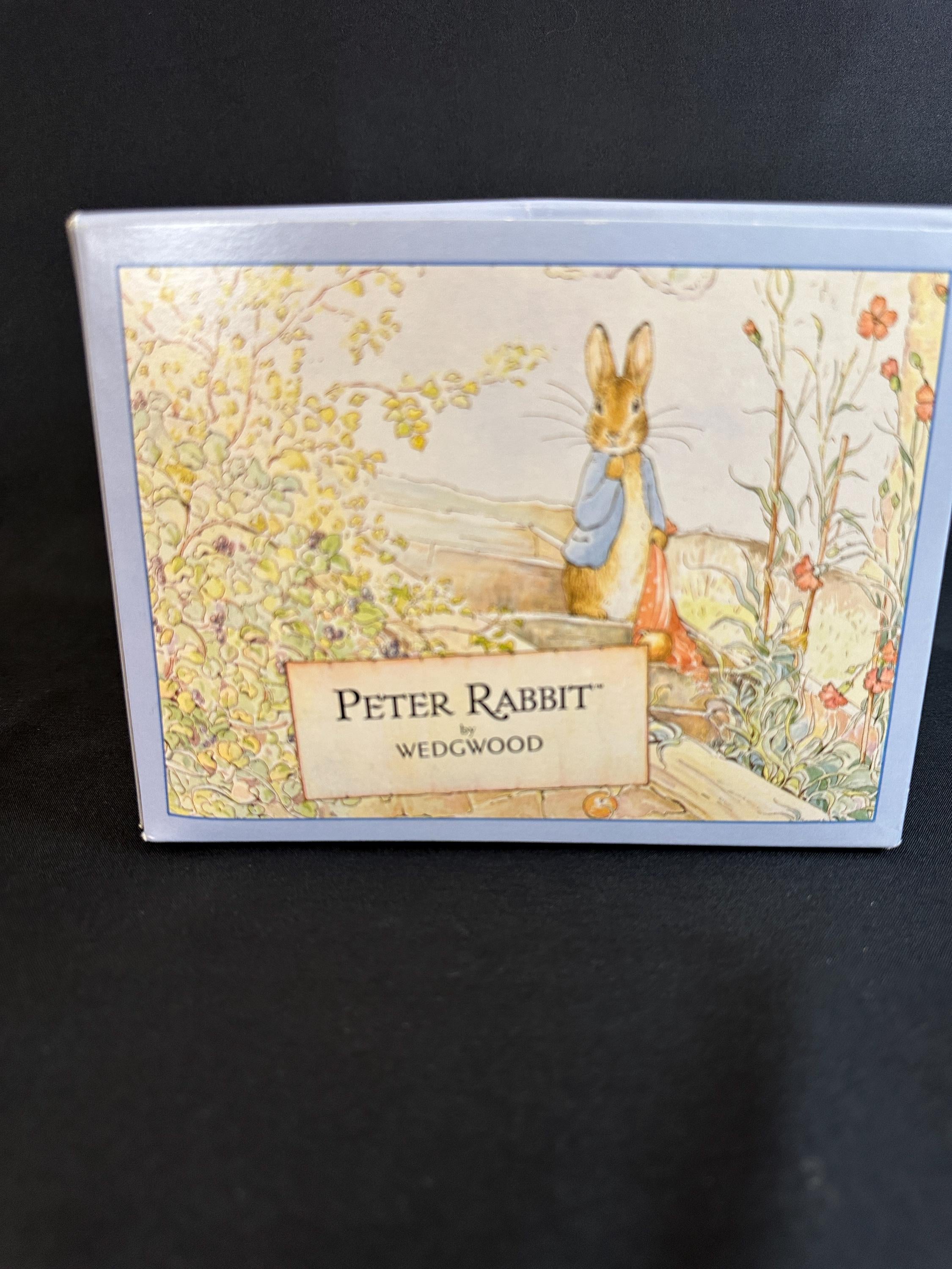 Wedgwood Peter Rabbit Teapot Full size