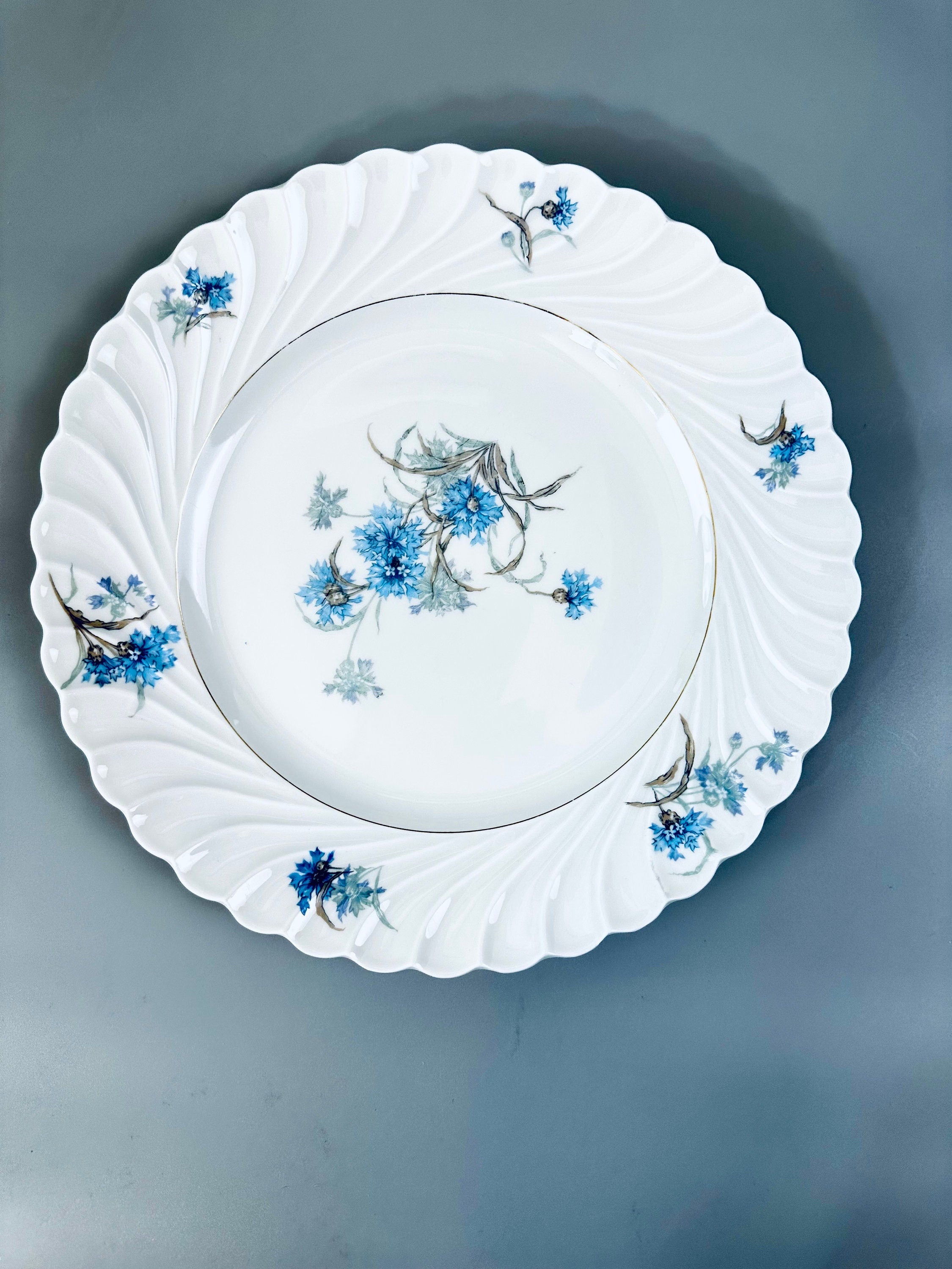 2 Haviland Bergere Dinner Plates