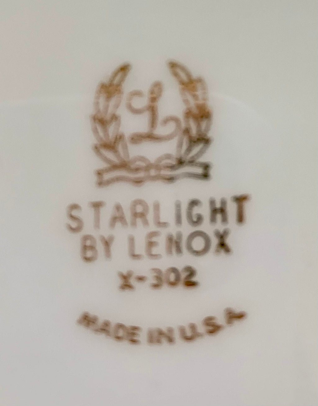Lenox Starlight Place Settings