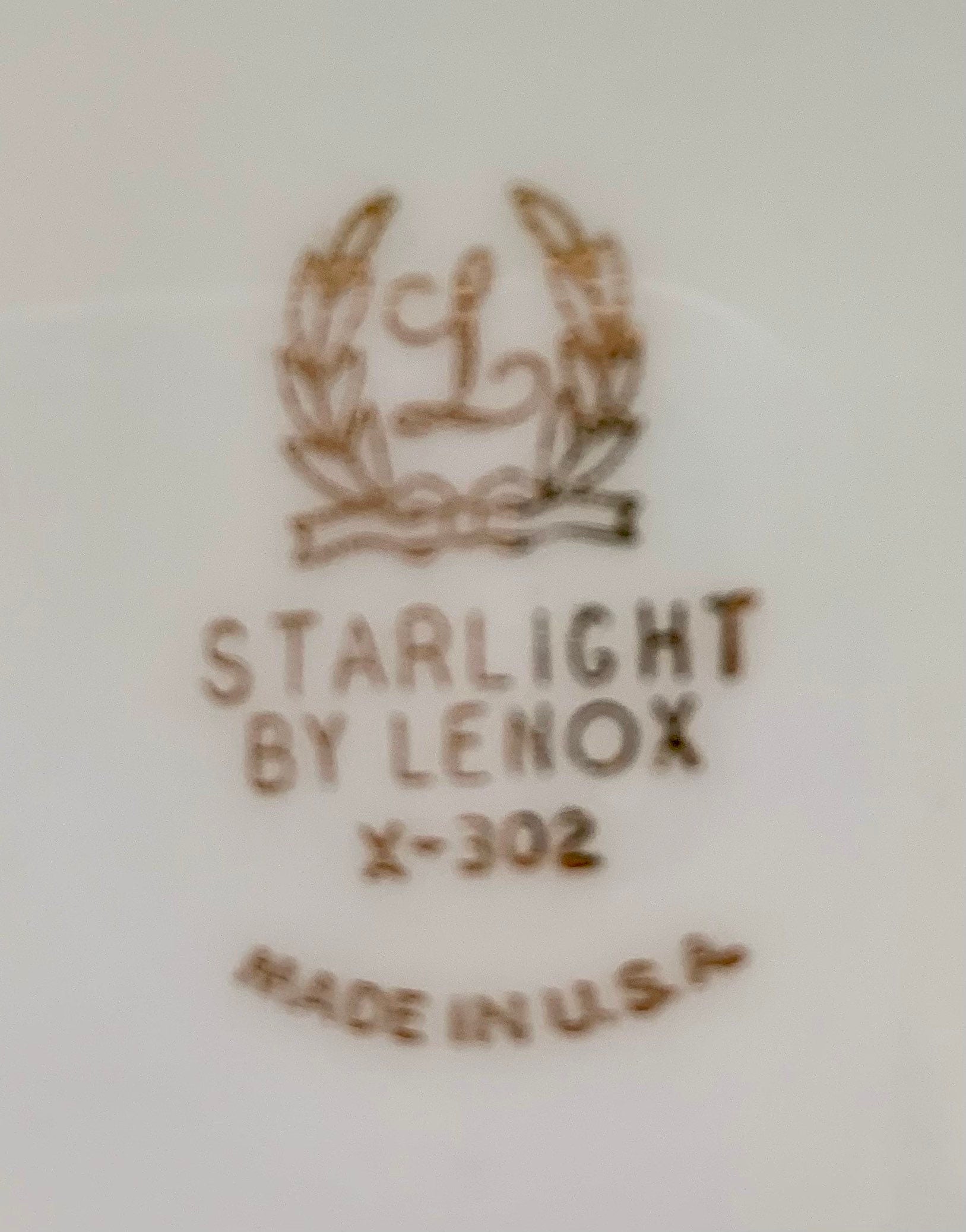 Lenox Starlight Place Settings