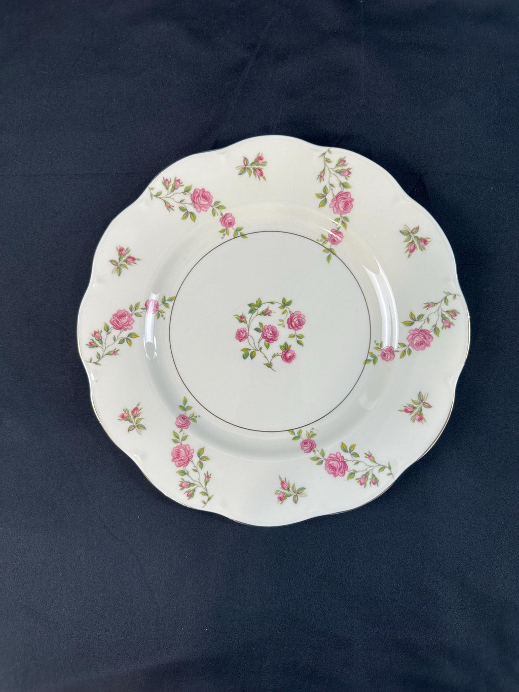 2 Haviland Delaware Dinner Plates