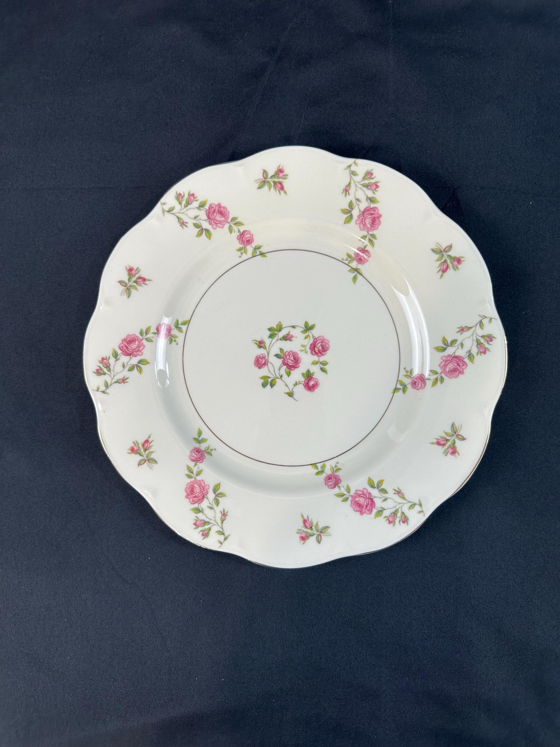 2 Haviland Delaware Dinner Plates