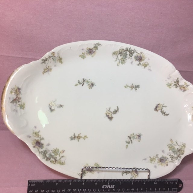 1895 Theodore Haviland Limoges