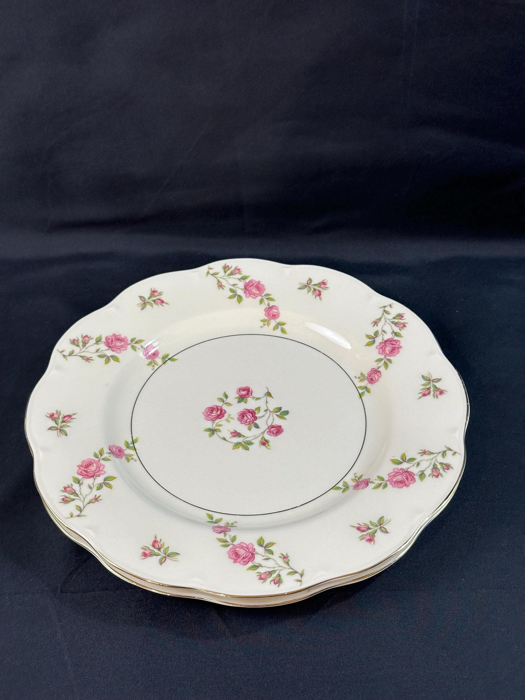2 Haviland Delaware Dinner Plates