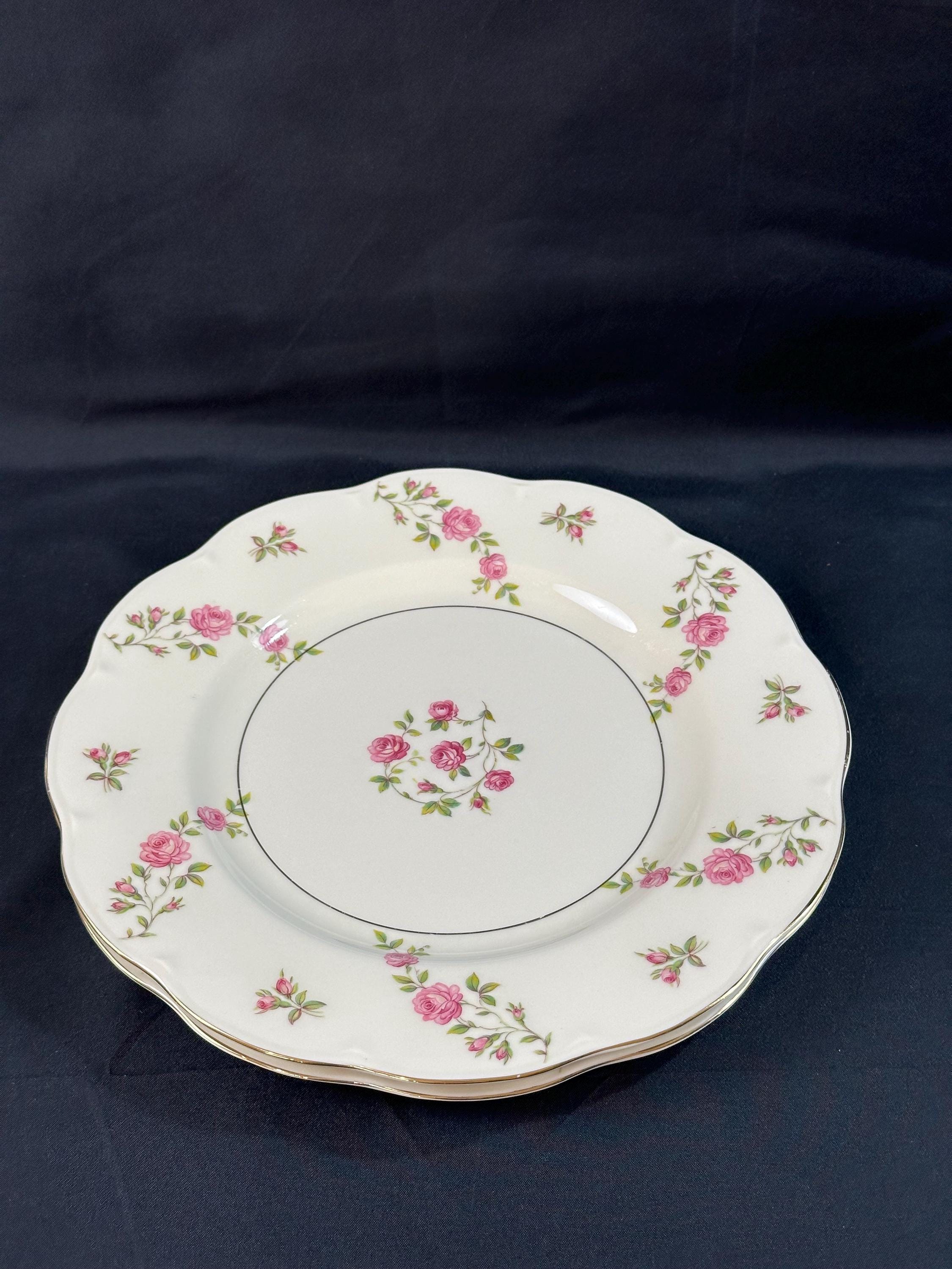 2 Haviland Delaware Dinner Plates