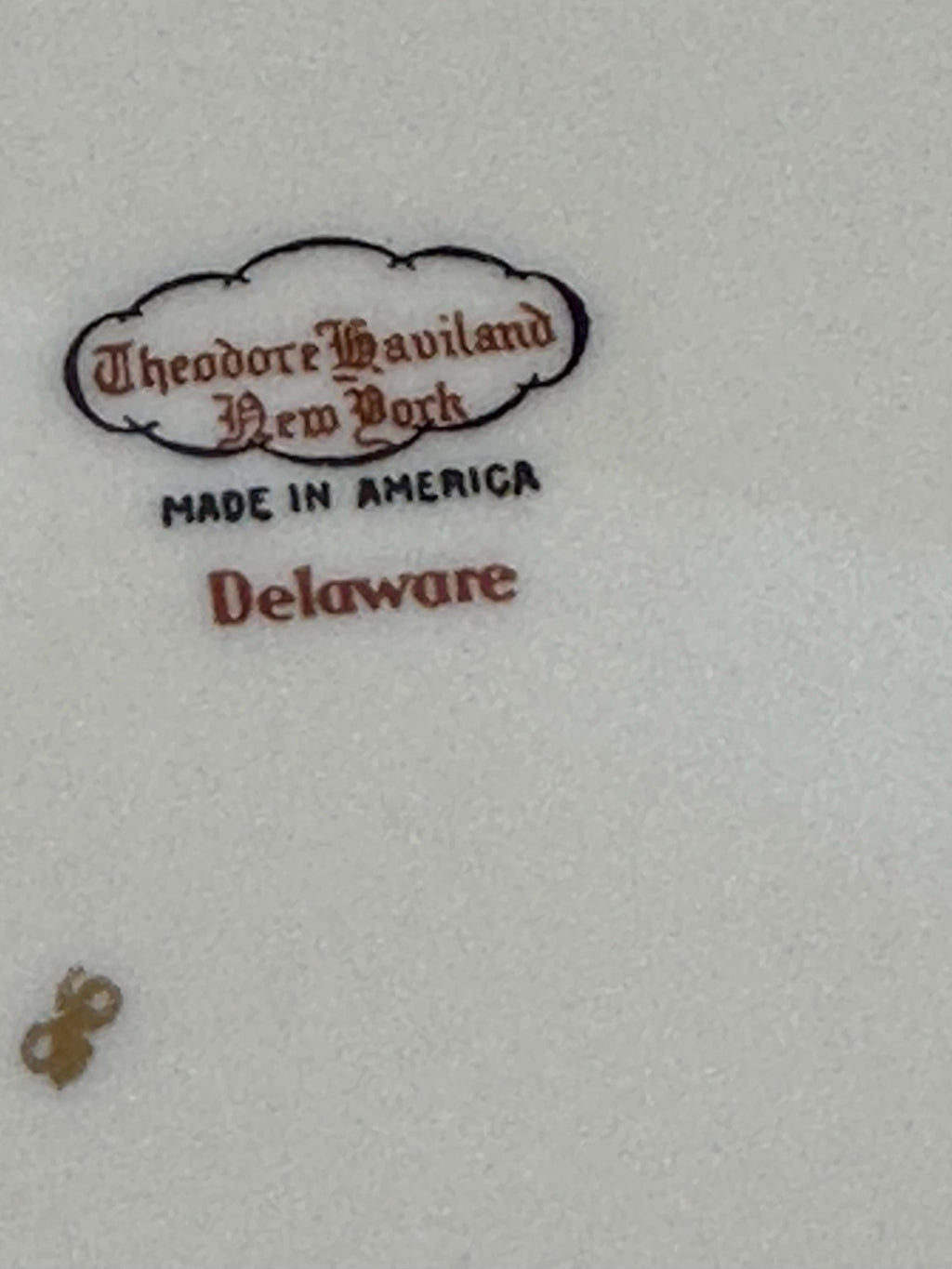 2 Haviland Delaware Dinner Plates