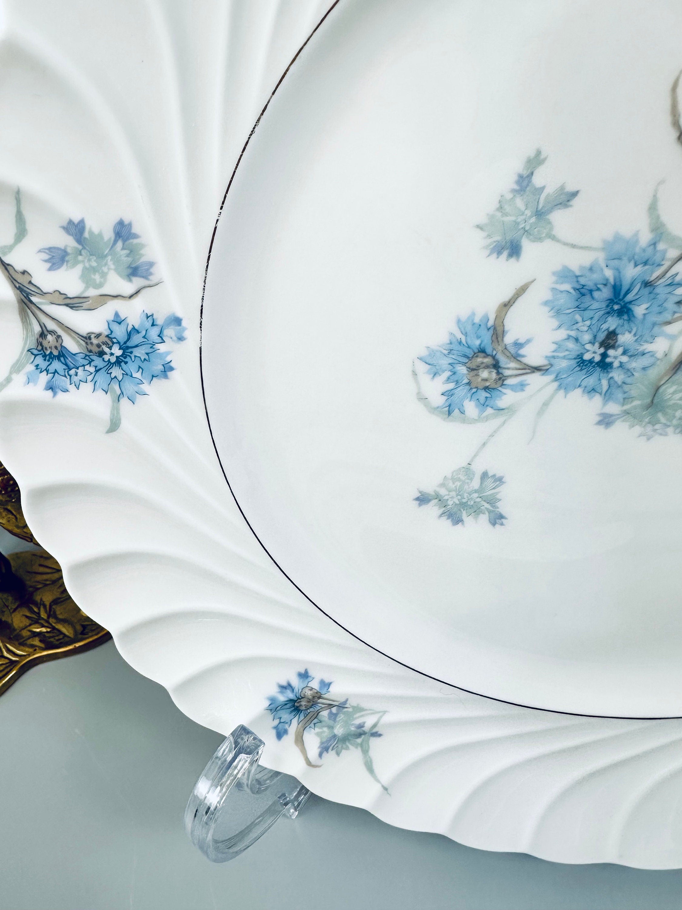 2 Haviland Bergere Dinner Plates