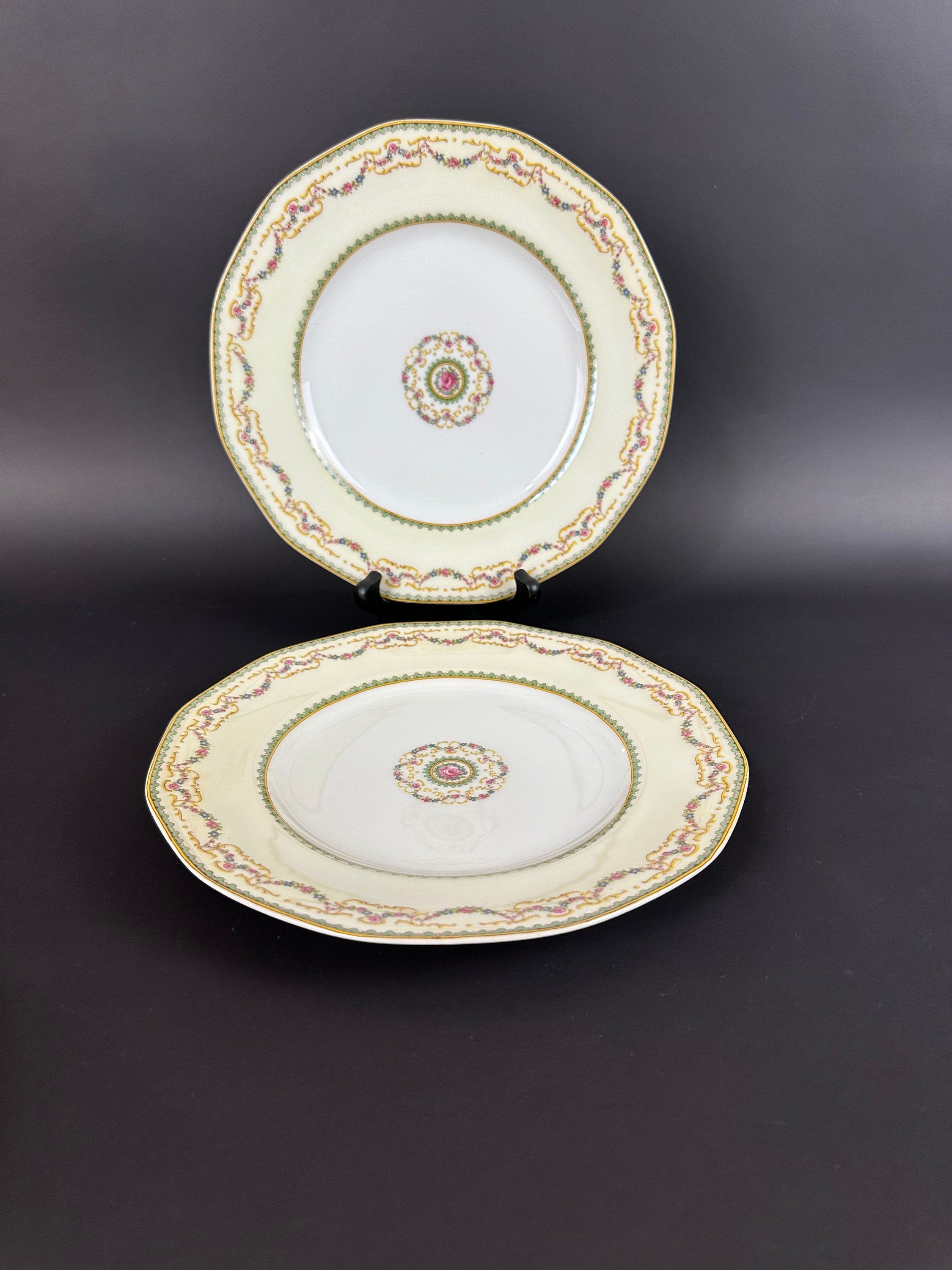 Two Rare Antique Haviland Dinner Plates in the Venice pattern